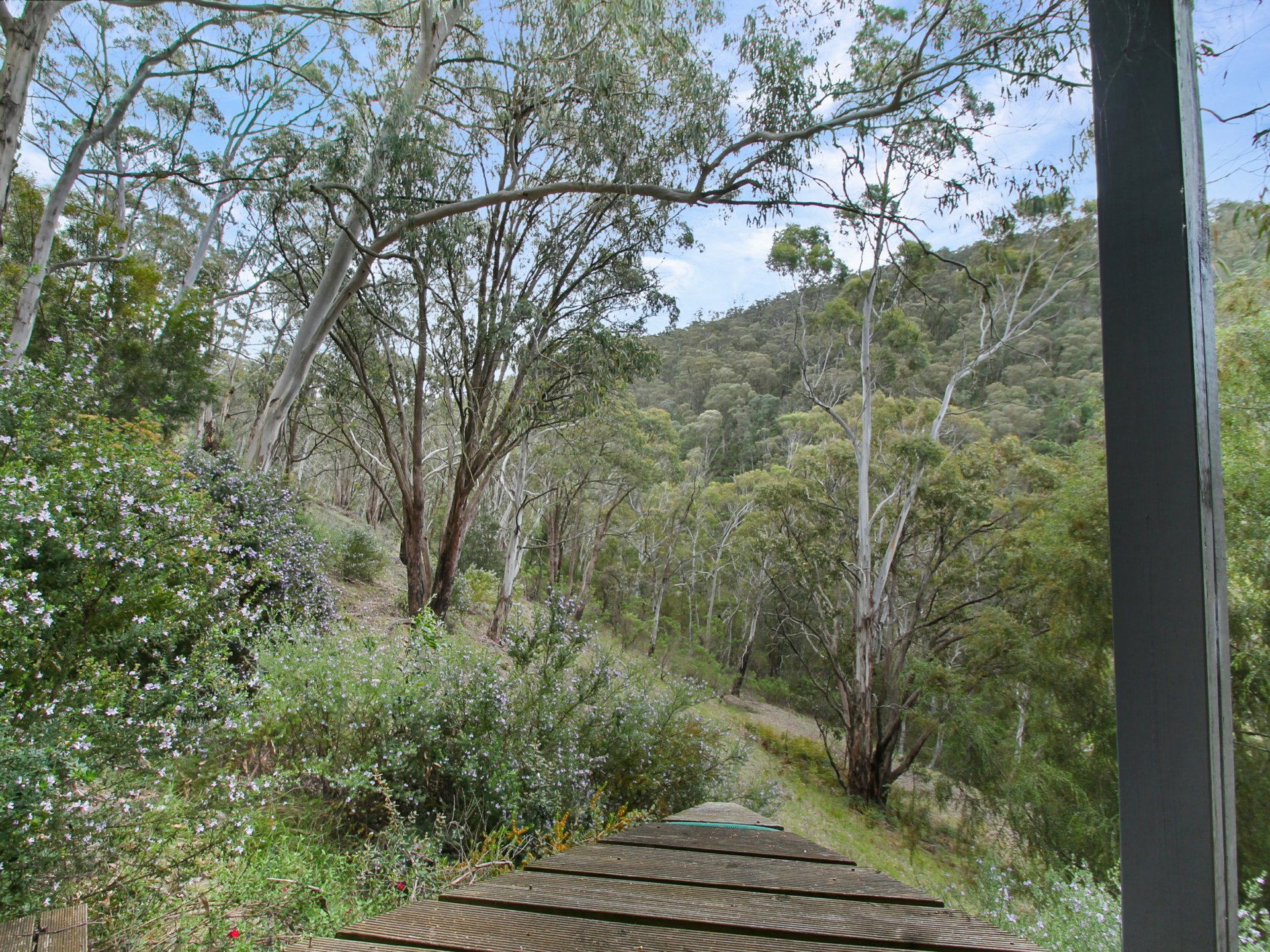 4 Mount Gingee Munji Track — photo 9 of 20