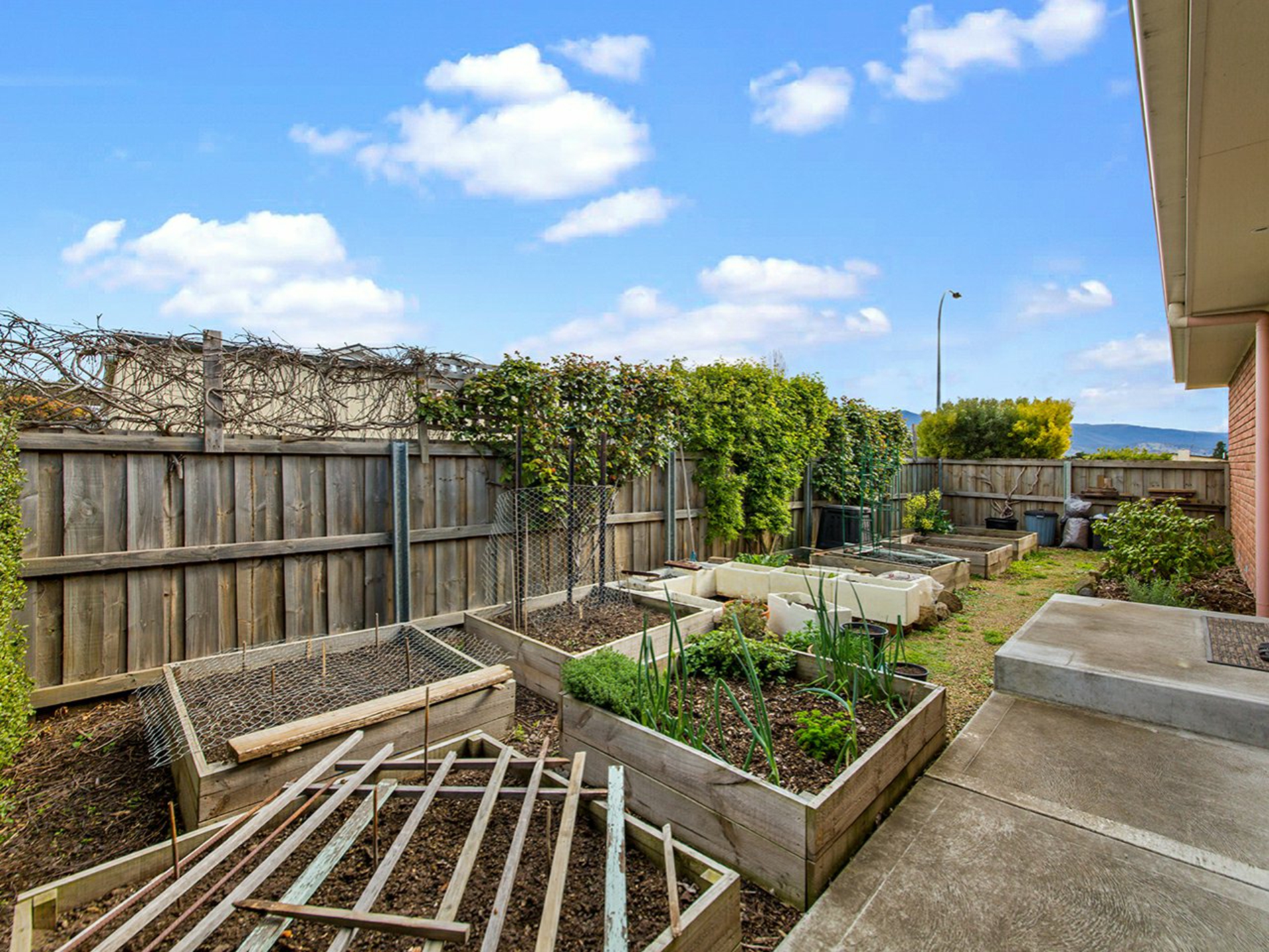4 Cartwright Street, BRIGHTON