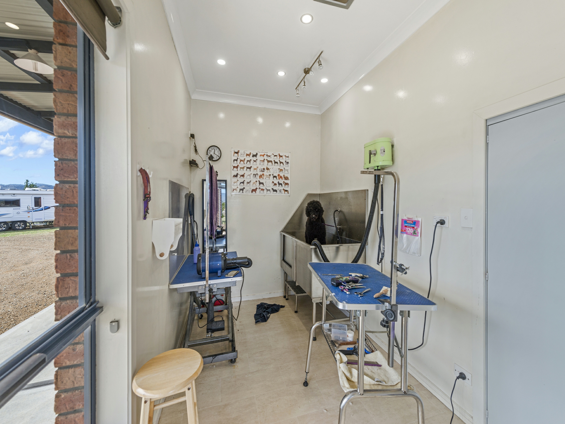 16 Alec Campbell Drive, BRIGHTON