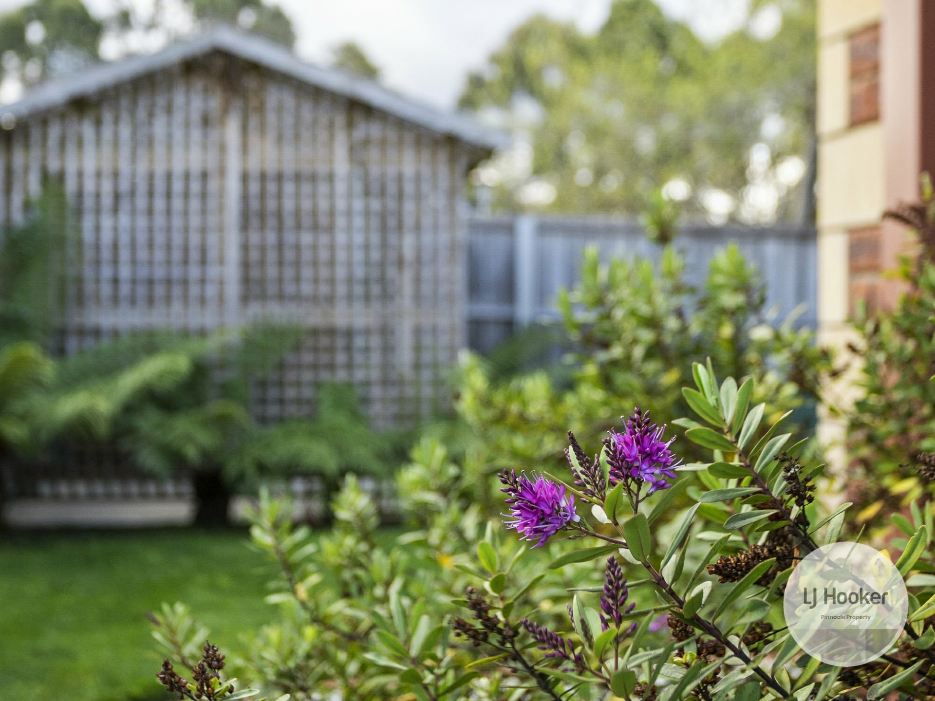 1 Iris Court, KINGSTON