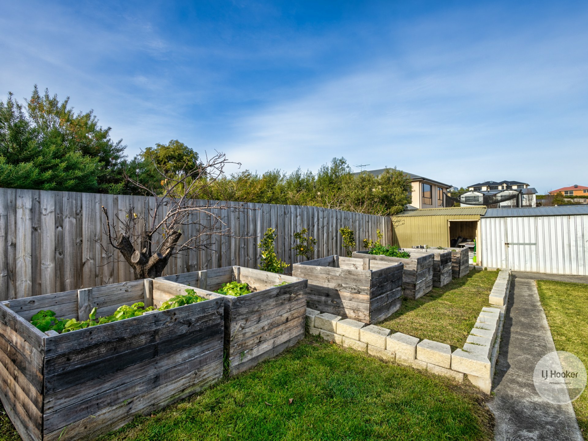 344 Carella Street, TRANMERE