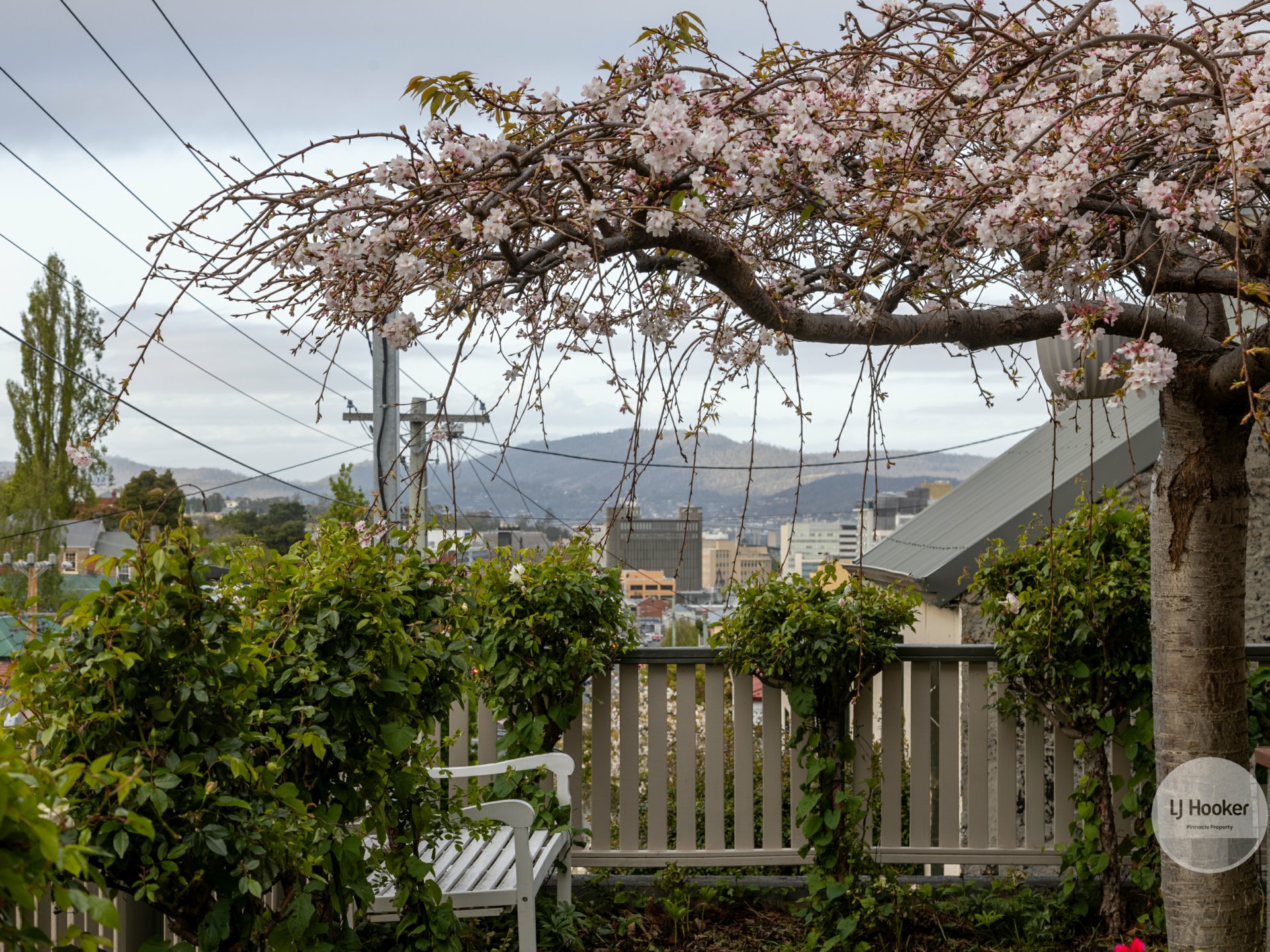 12 Forest Road, WEST HOBART