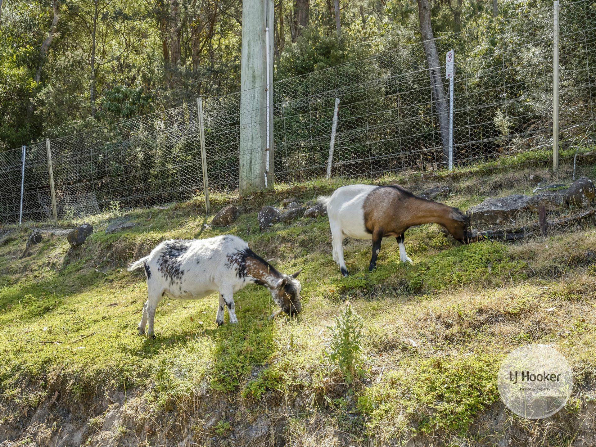20 Old Farm Road, SOUTH HOBART