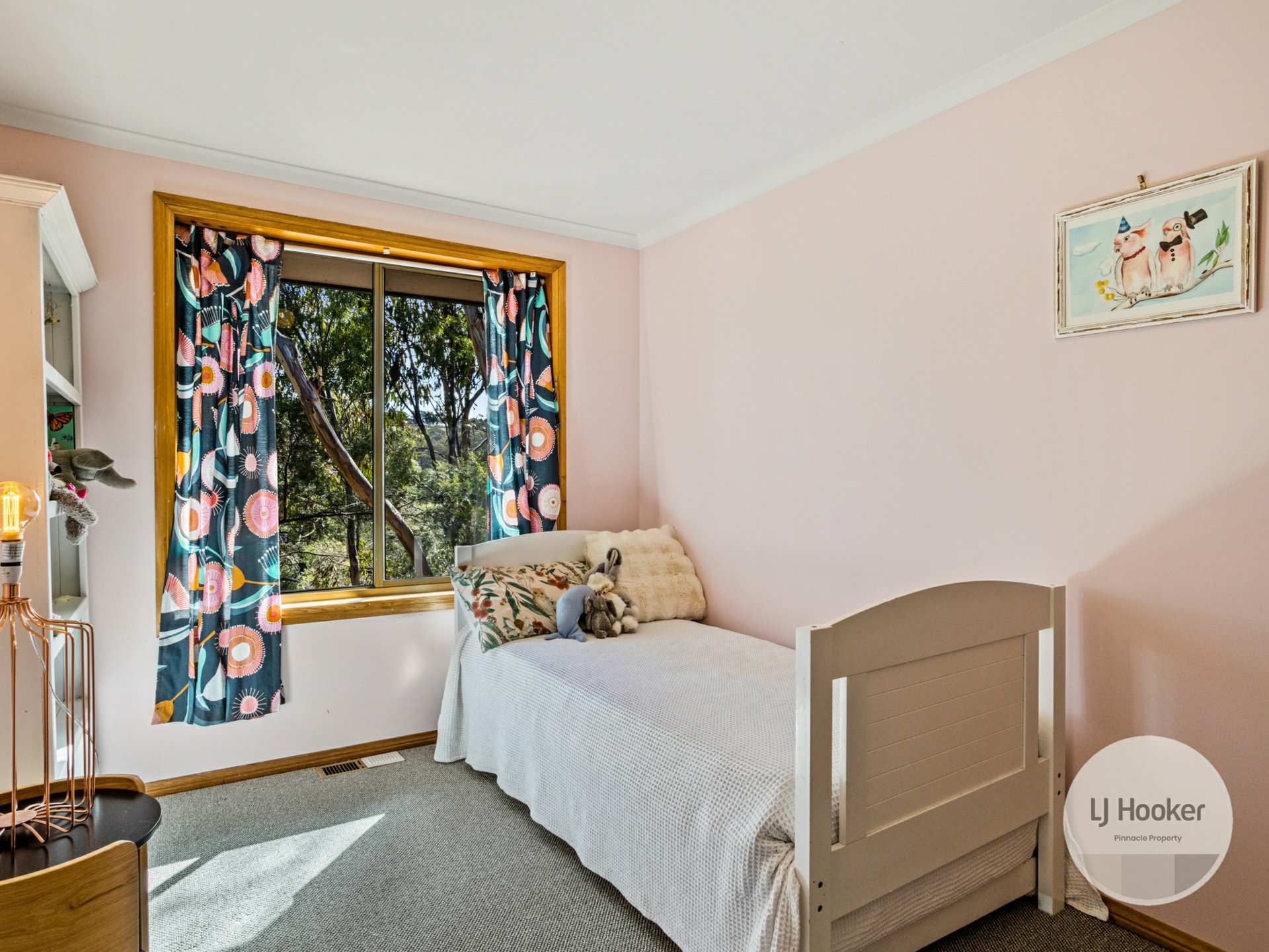 19 Ollie Drive, SORELL