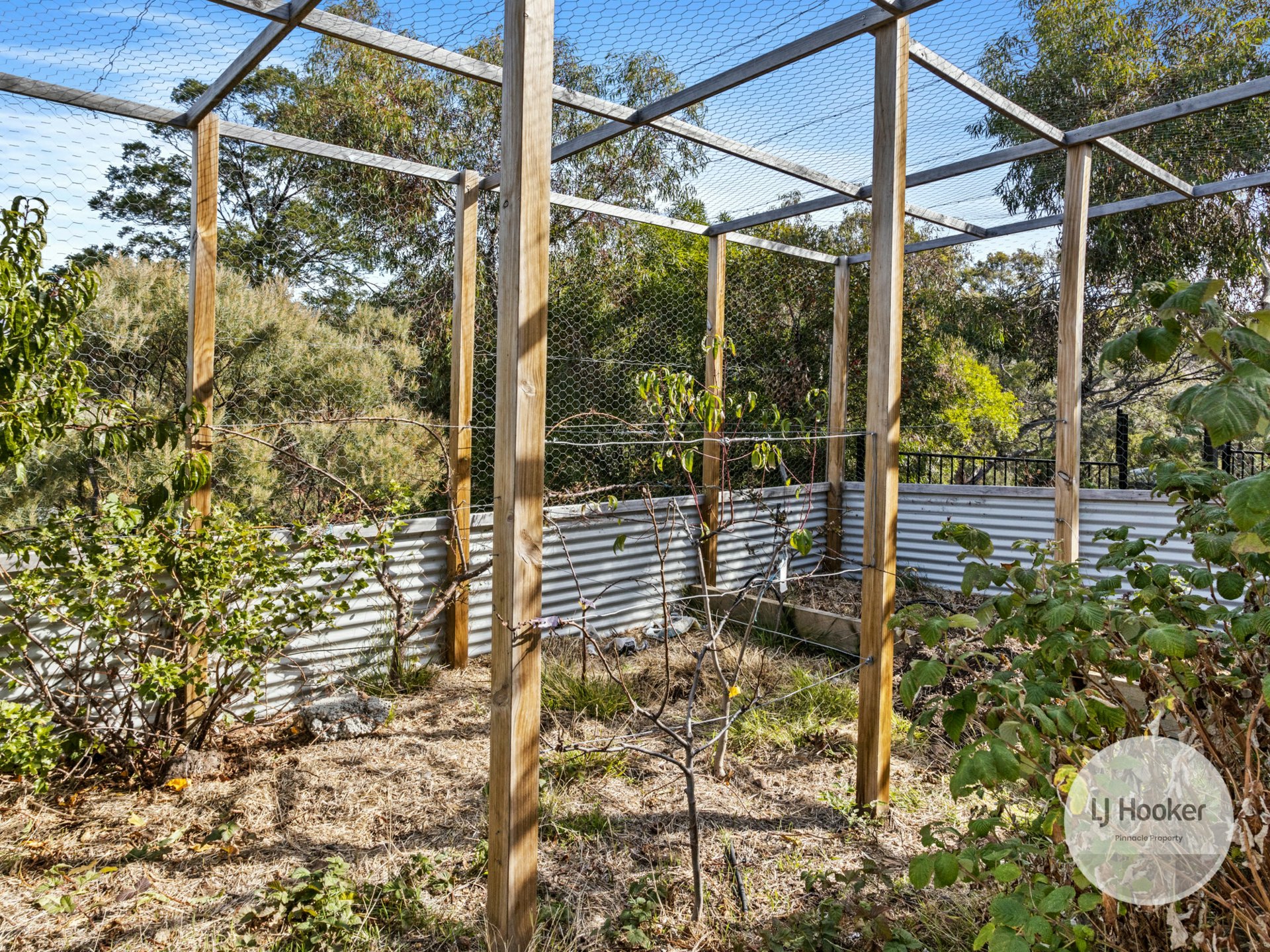 19 Ollie Drive, SORELL