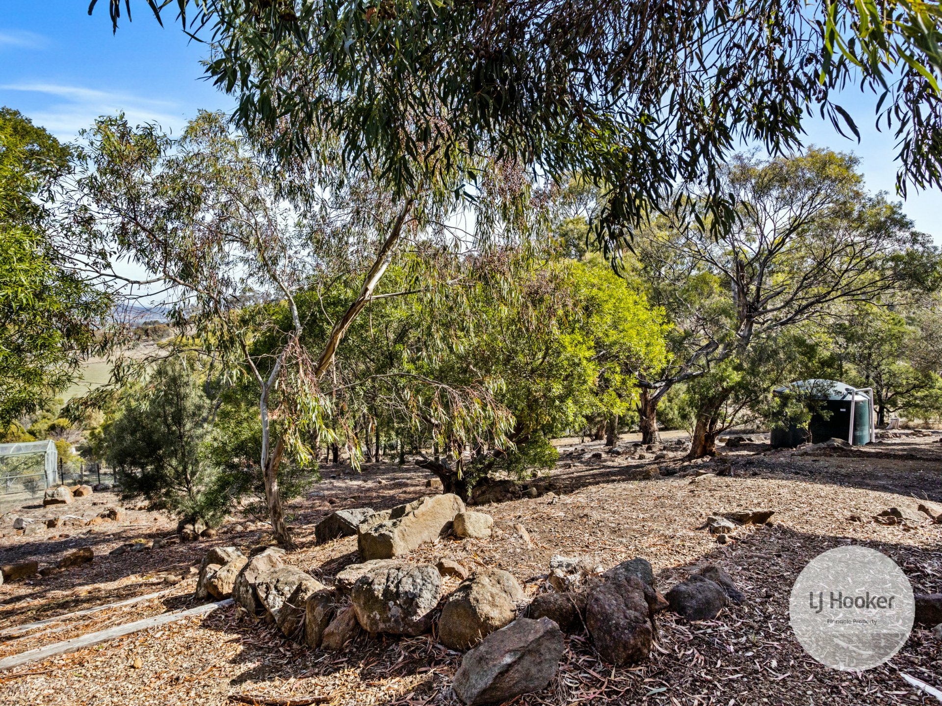19 Ollie Drive, SORELL