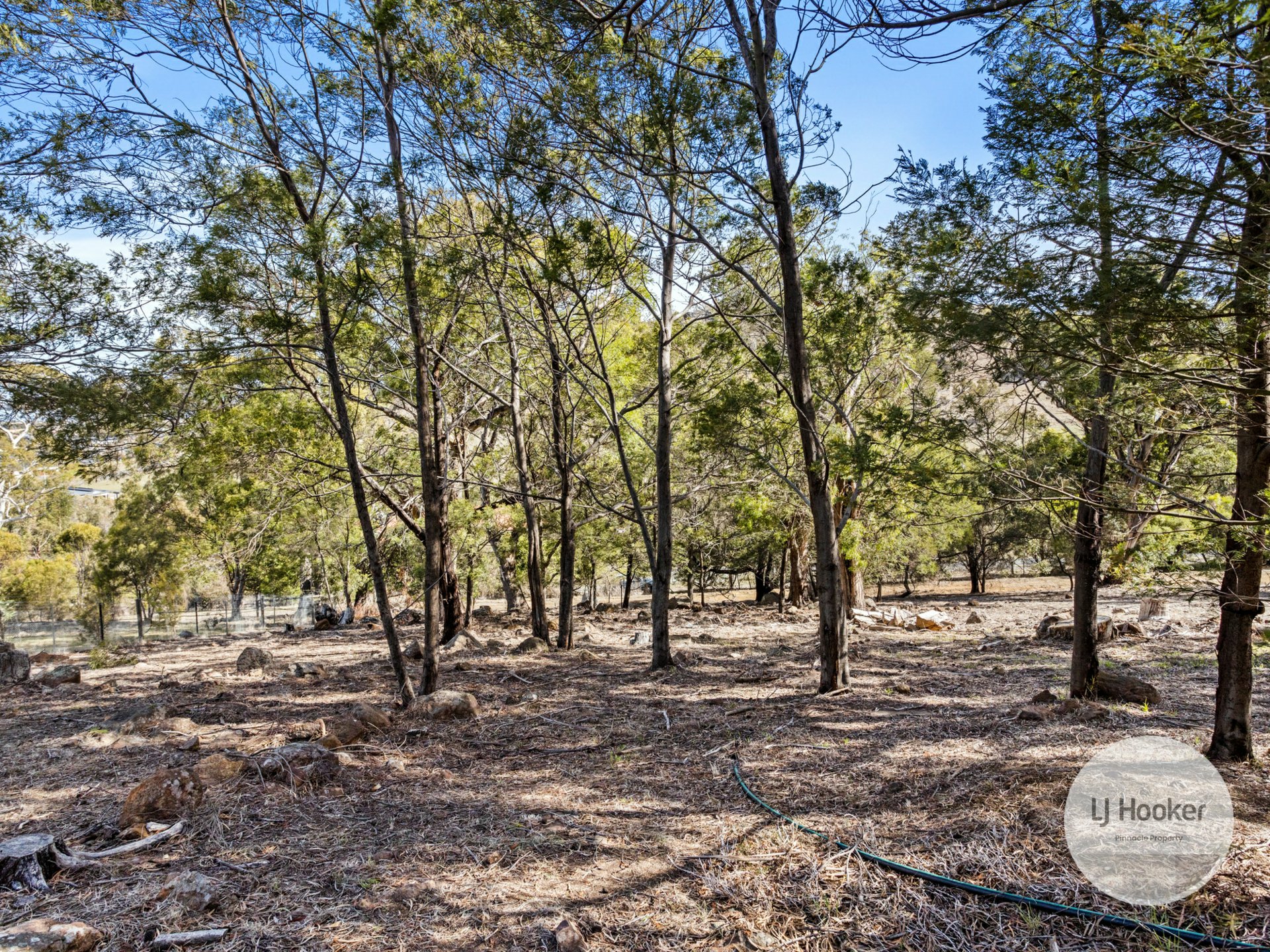 19 Ollie Drive, SORELL