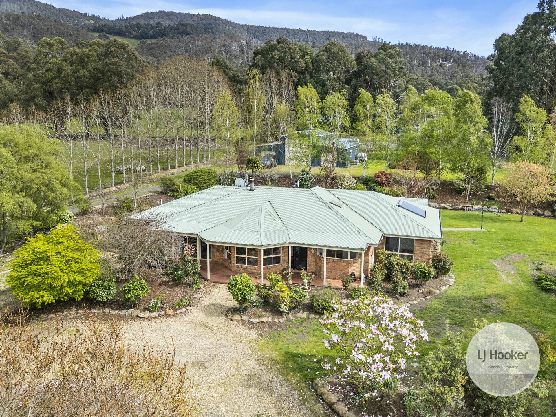 680 Lachlan Road, LACHLAN
