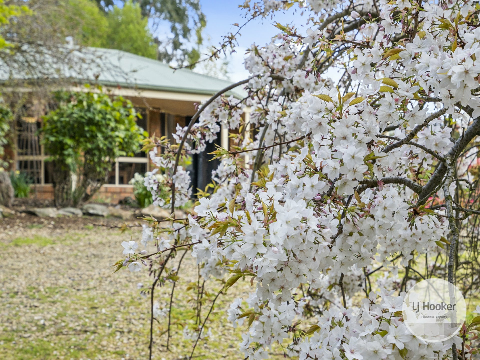 680 Lachlan Road, LACHLAN