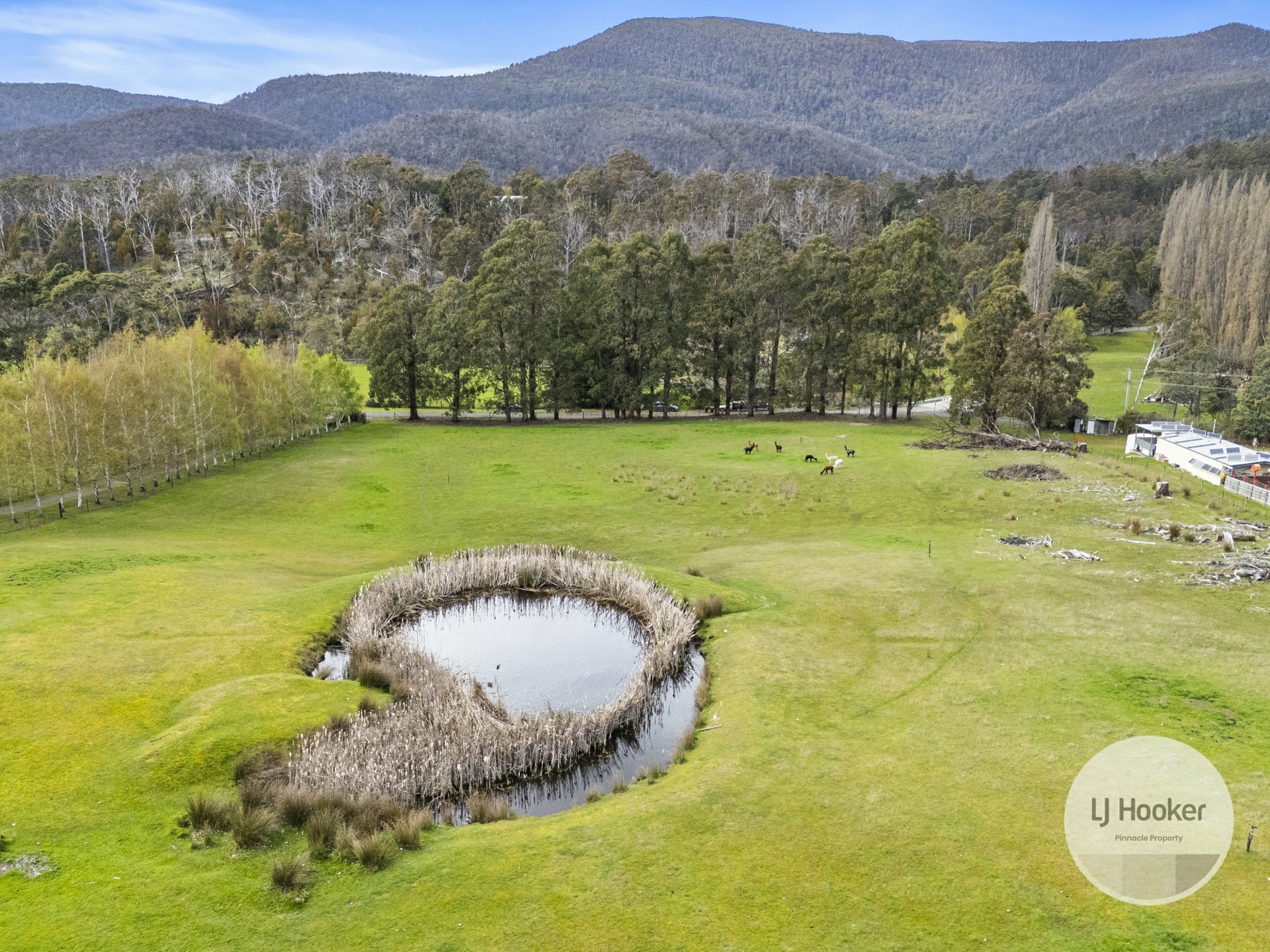 680 Lachlan Road, LACHLAN
