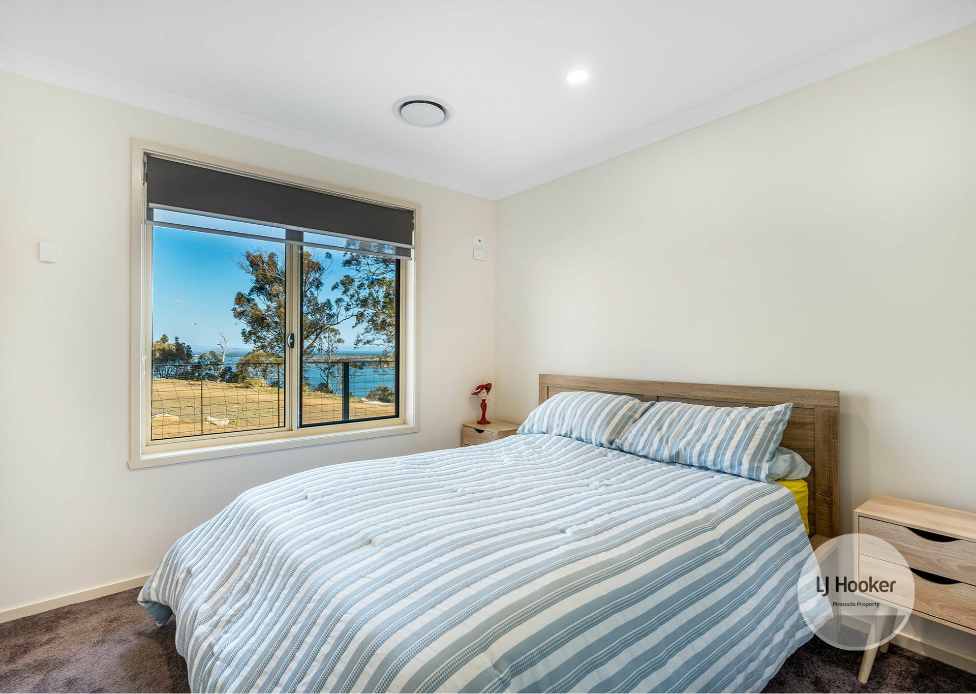 646 Shark Point Road, PENNA