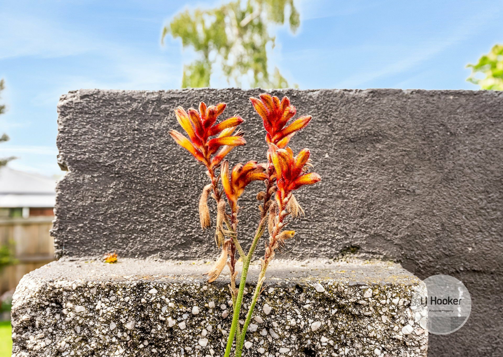 3 Kardilla Court Chigwell TAS House for Sale LJ Hooker