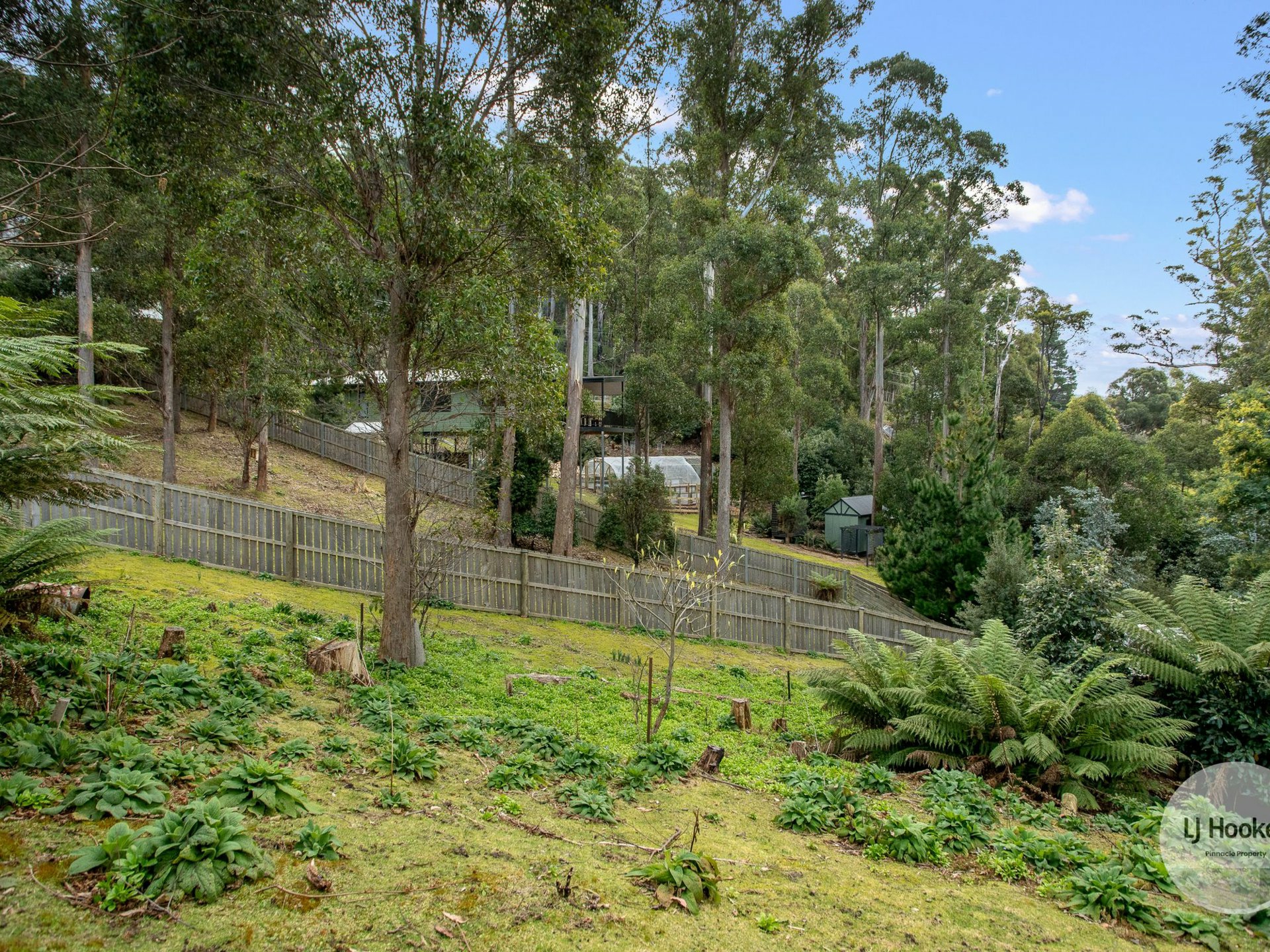 438 Strickland Avenue, SOUTH HOBART