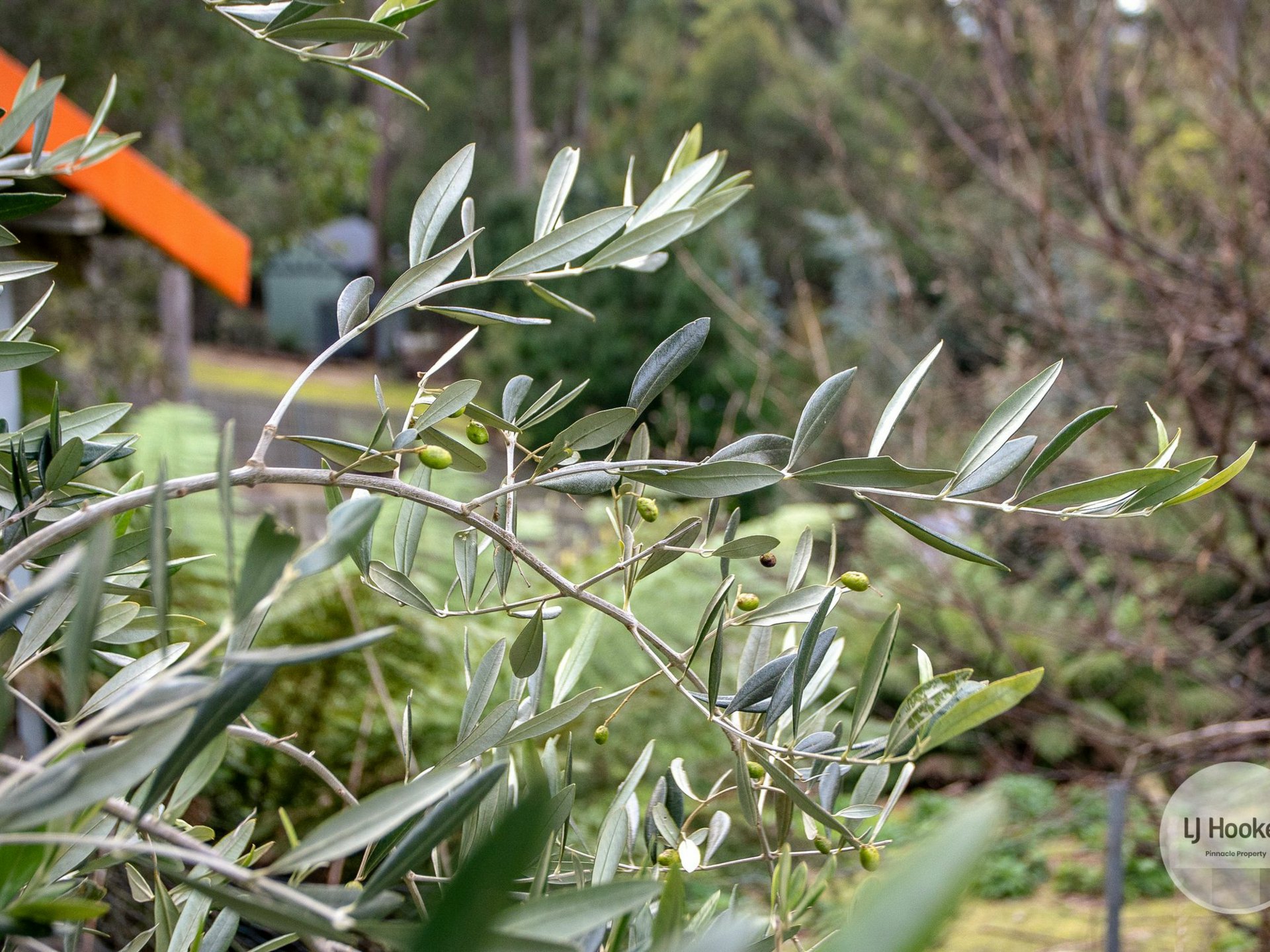 438 Strickland Avenue, SOUTH HOBART