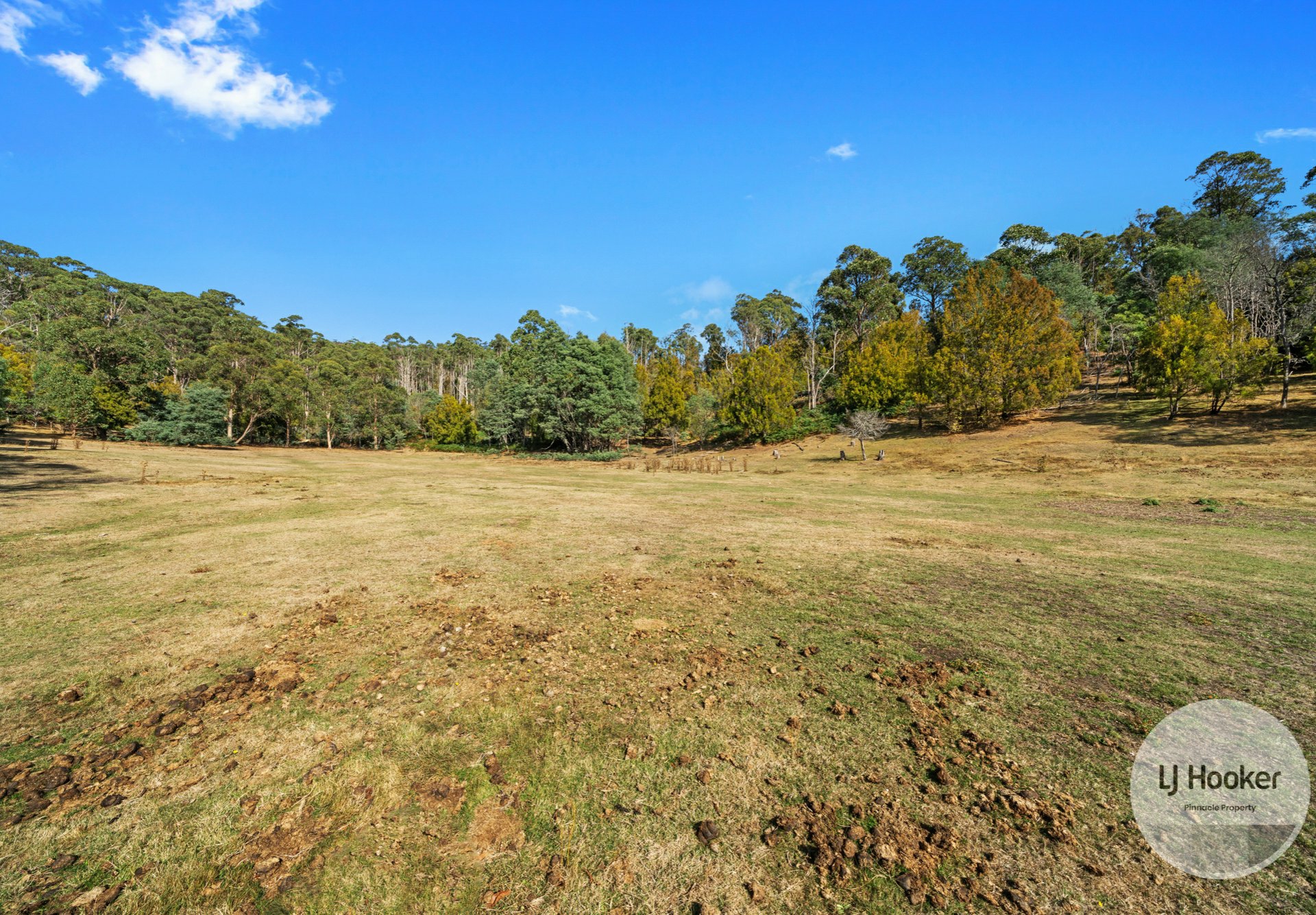 207 Hydehurst Road, LACHLAN