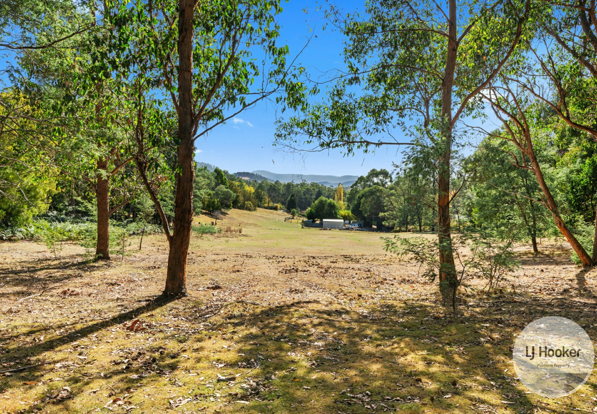 207 Hydehurst Road, LACHLAN