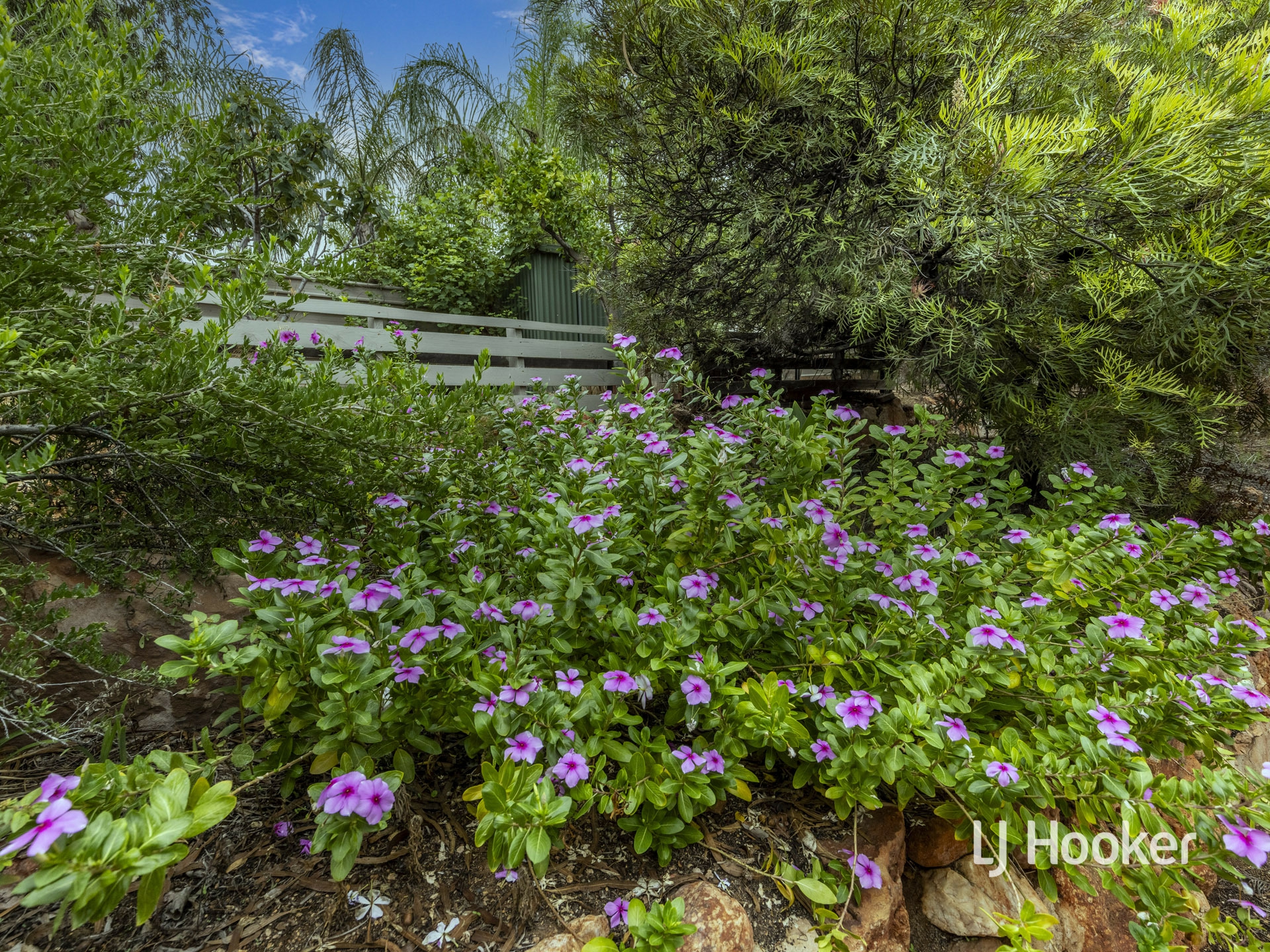 4 Warber Court, Larapinta