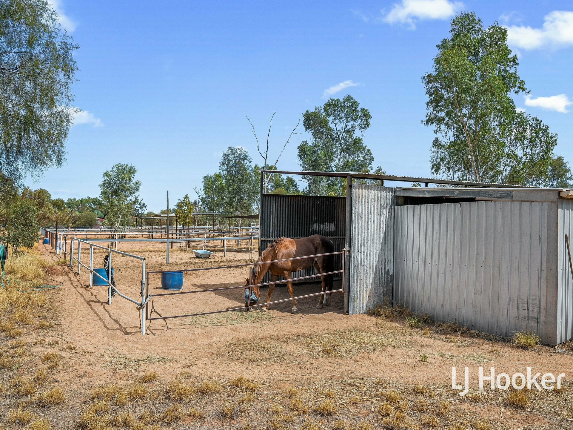 28 Fuchsia Road, CONNELLAN