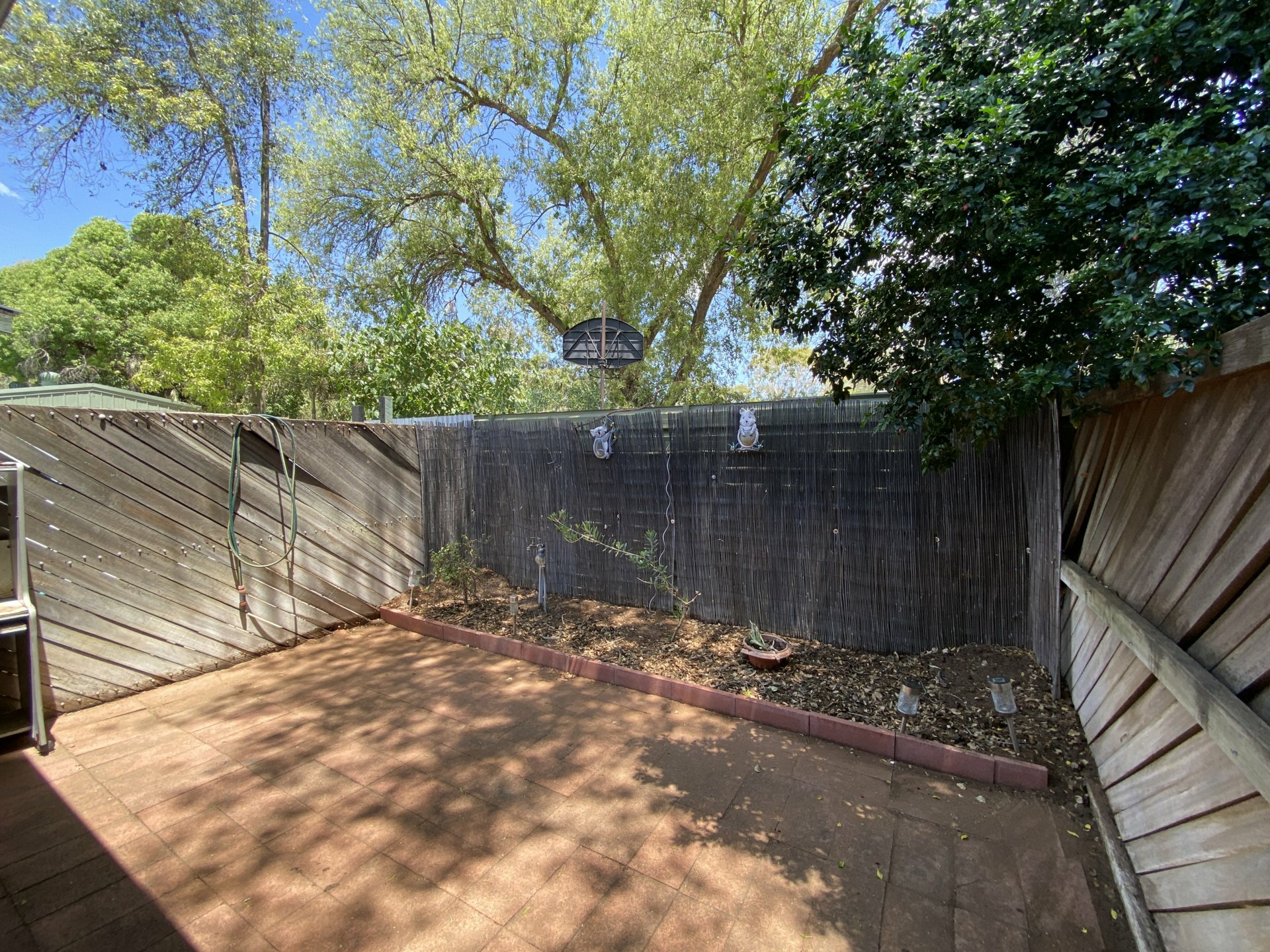 6/8 Chewings Street — photo 9 of 10