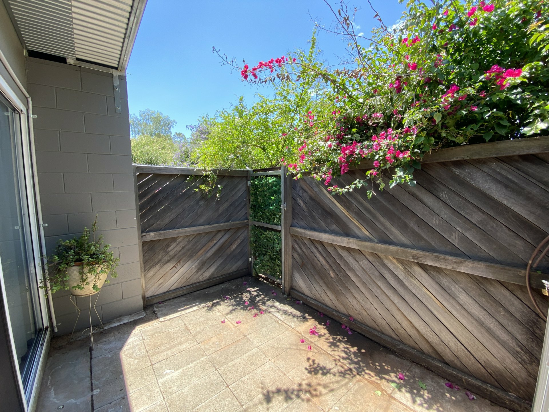 6/8 Chewings Street — photo 10 of 10