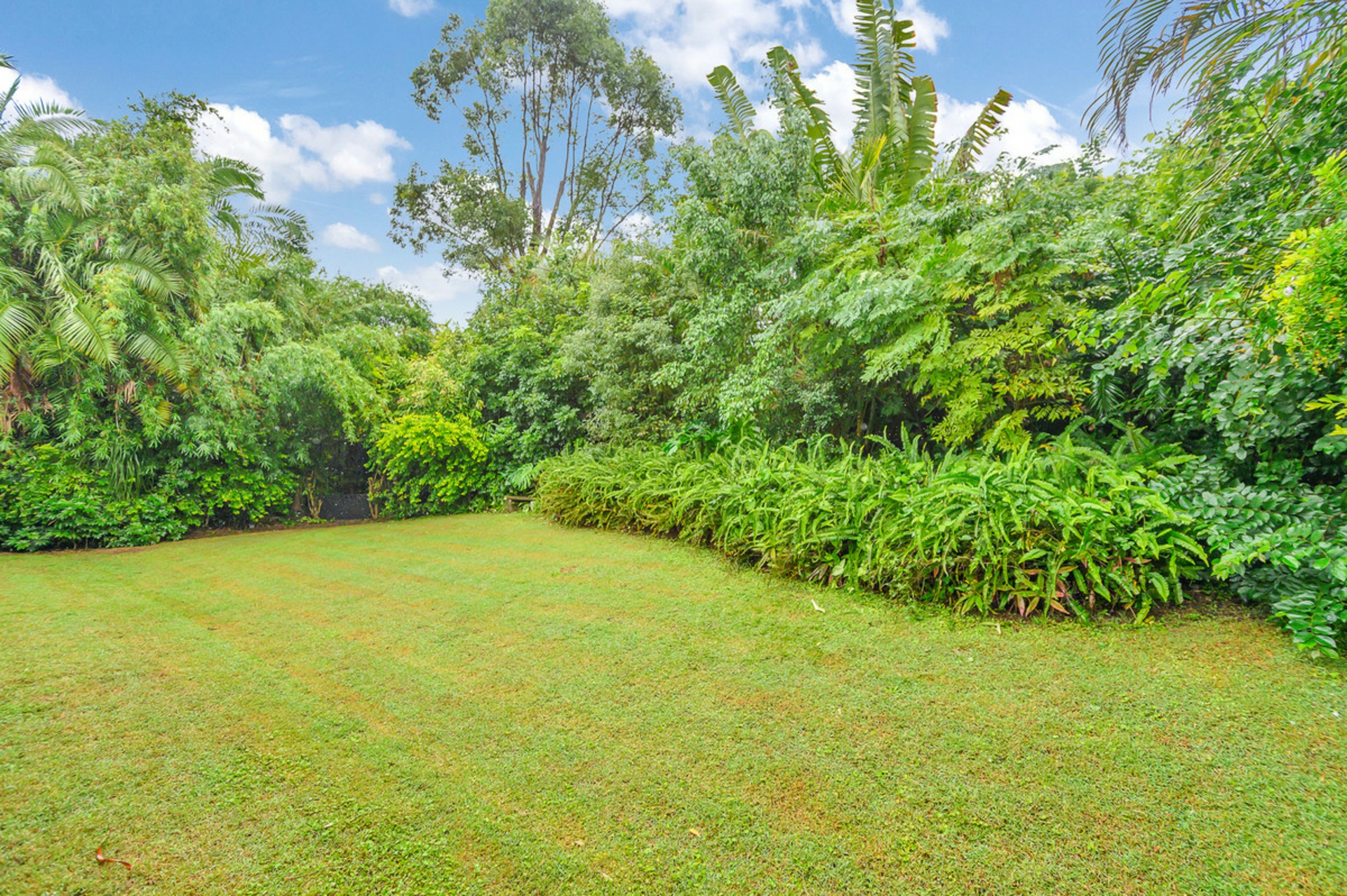 25 Ashley Road, CHERMSIDE WEST