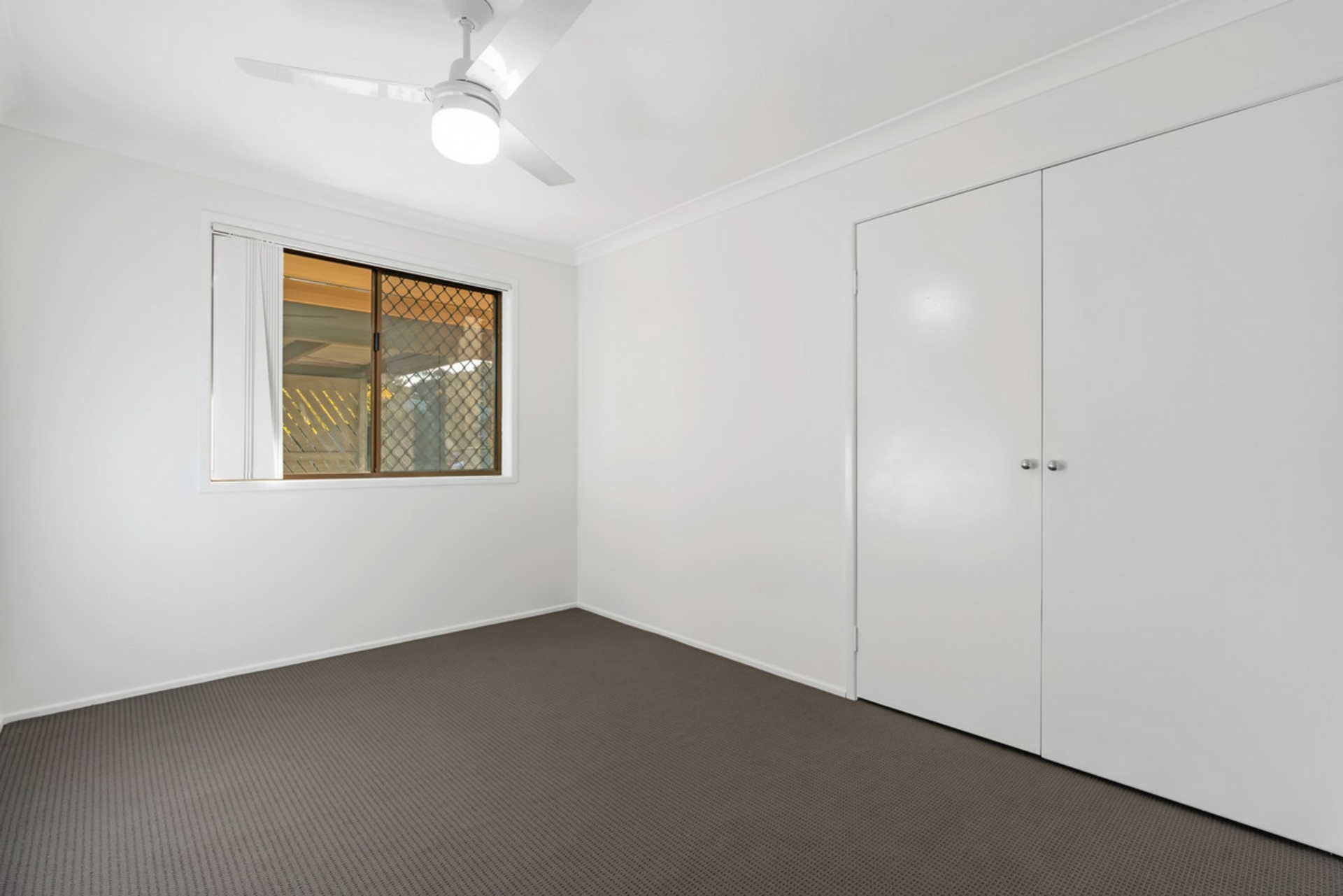 53 Cara Street, ASPLEY