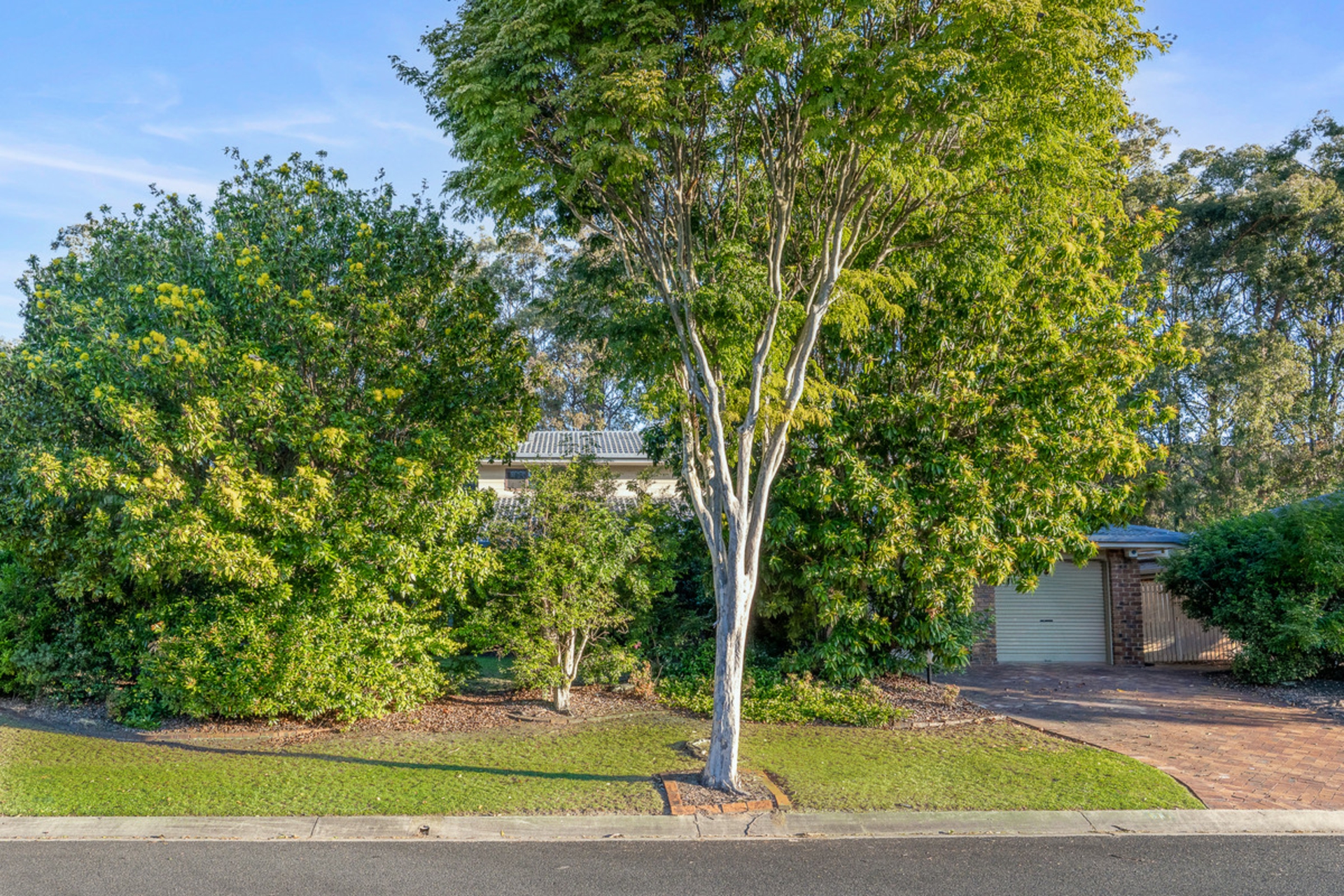 130 Ironwood Street — photo 5 of 23