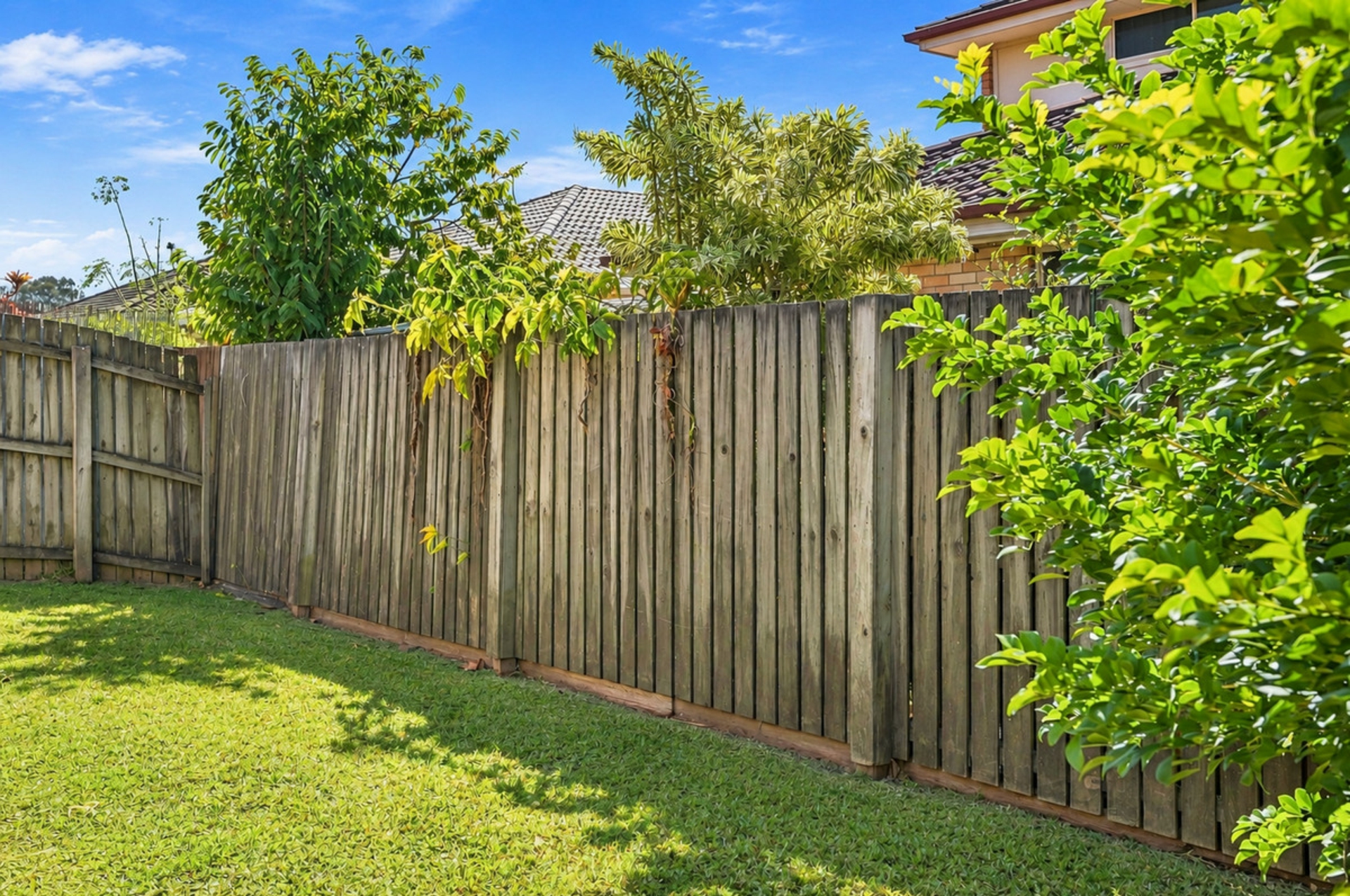 7/17 Denham Street — photo 7 of 17