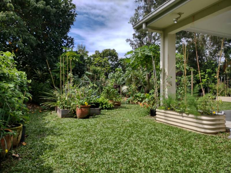 12 Corella Street, PORT DOUGLAS