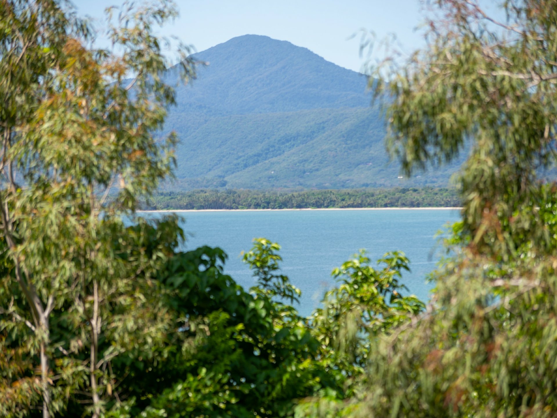 2 The Hill Apartments/48 Murphy Street, PORT DOUGLAS