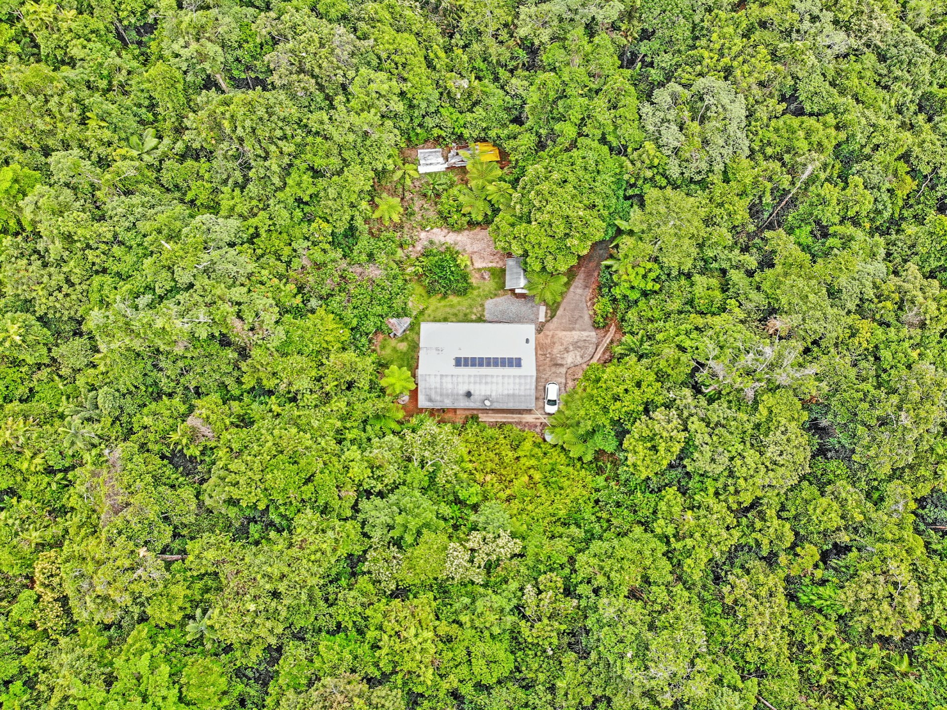 50 Carbeen Road, Daintree