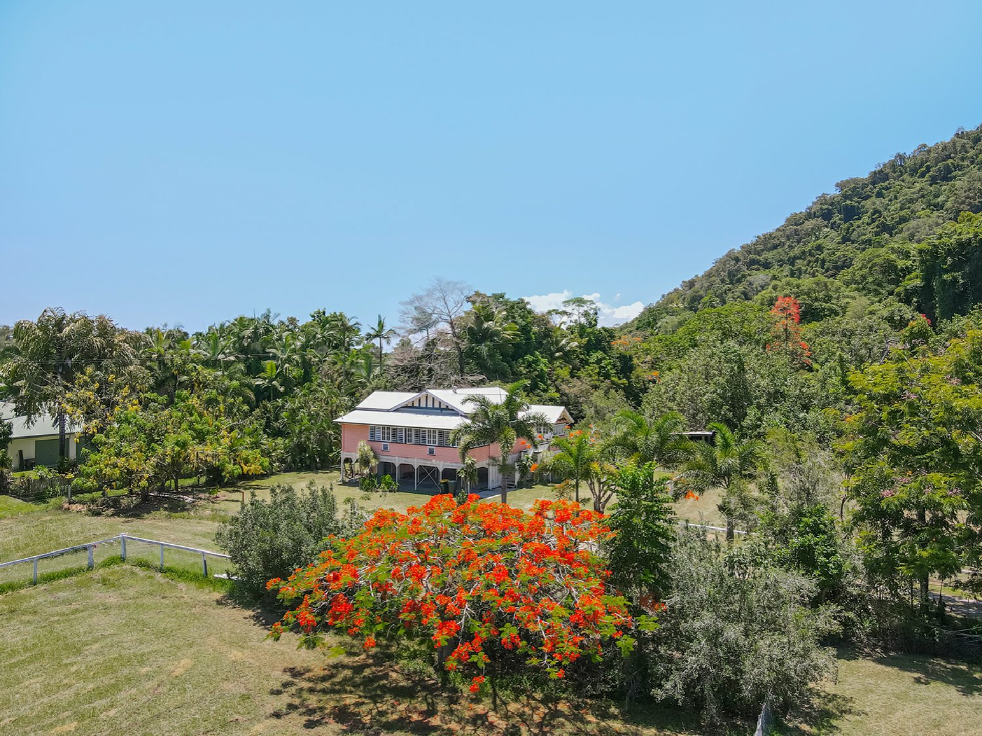1596 Mossman Daintree Road, WONGA BEACH