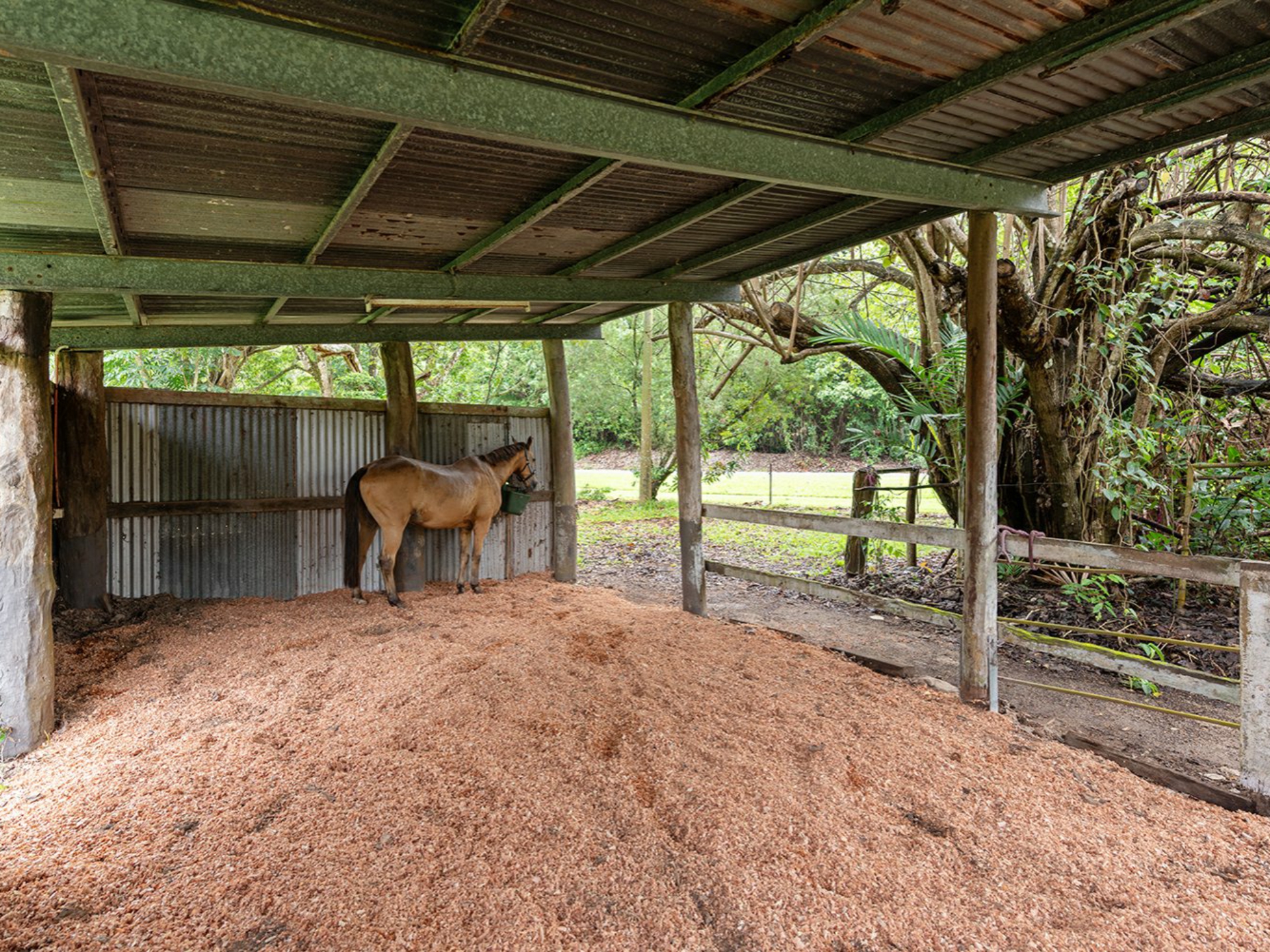 1596 Mossman Daintree Road, WONGA BEACH