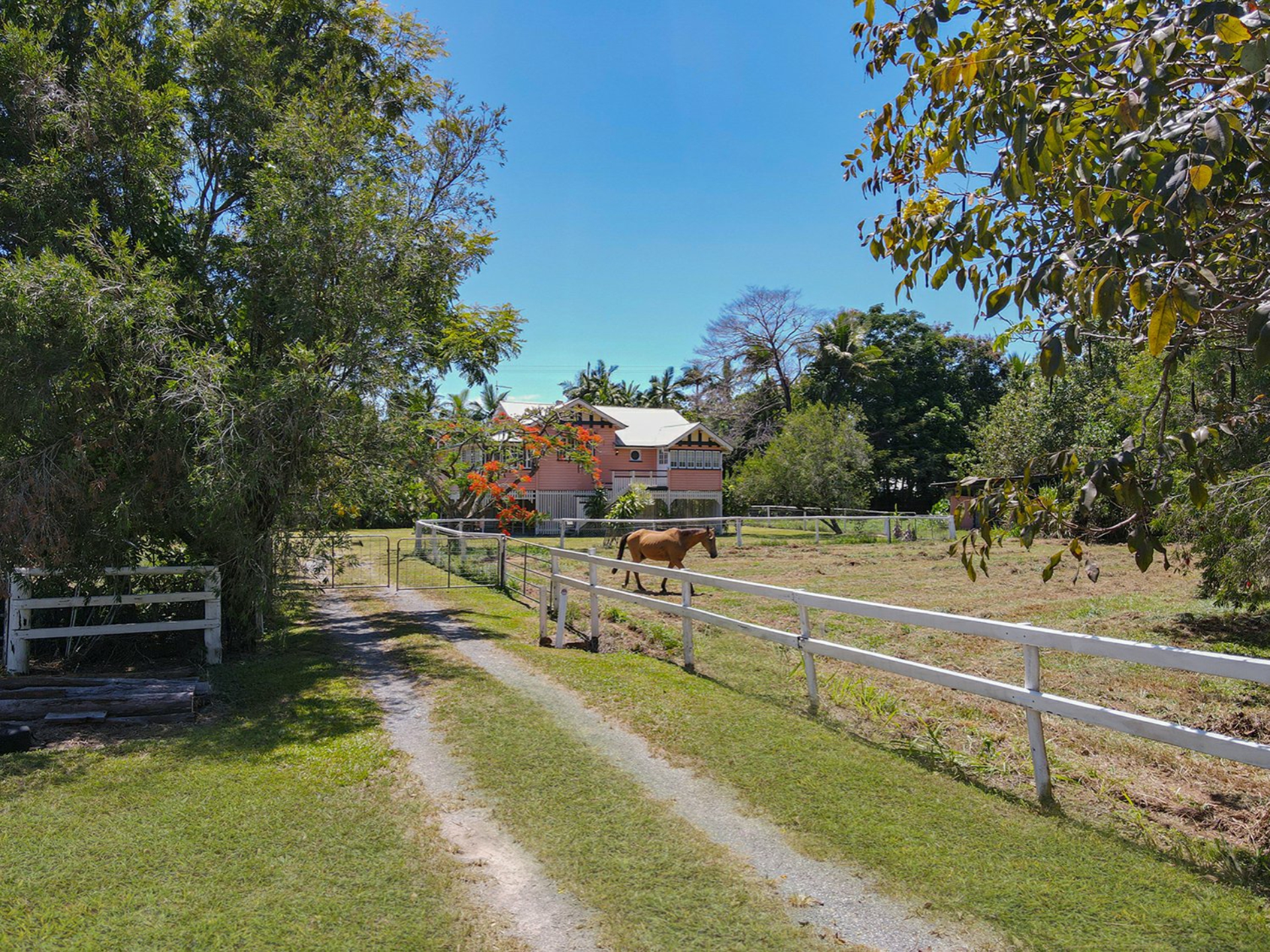 1596 Mossman Daintree Road, WONGA BEACH