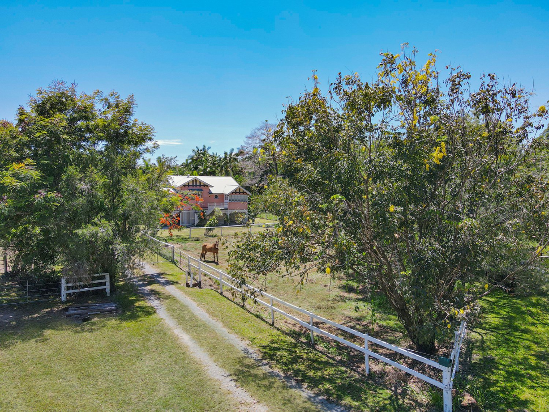 1596 Mossman Daintree Road, WONGA BEACH