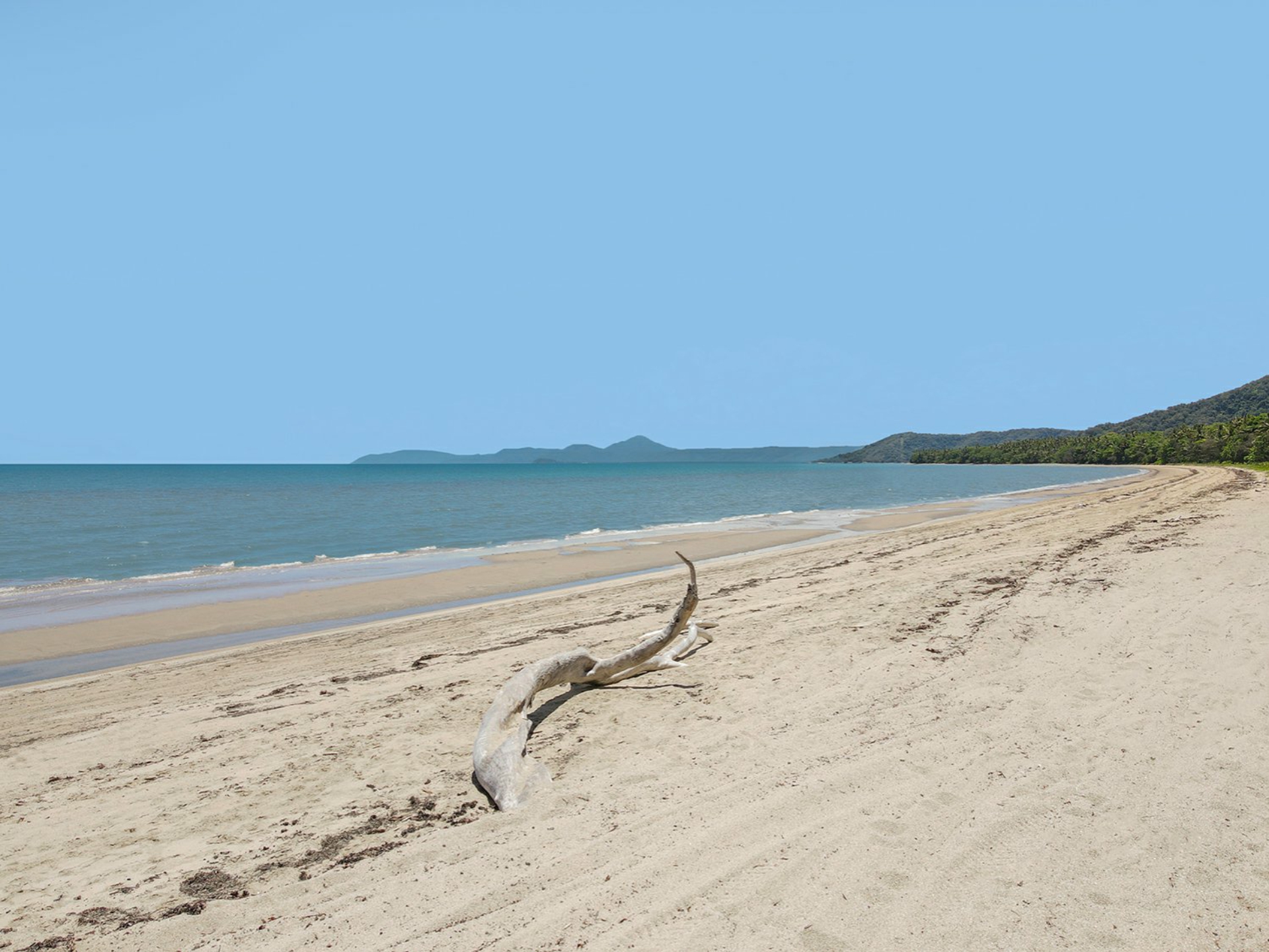1596 Mossman Daintree Road, WONGA BEACH