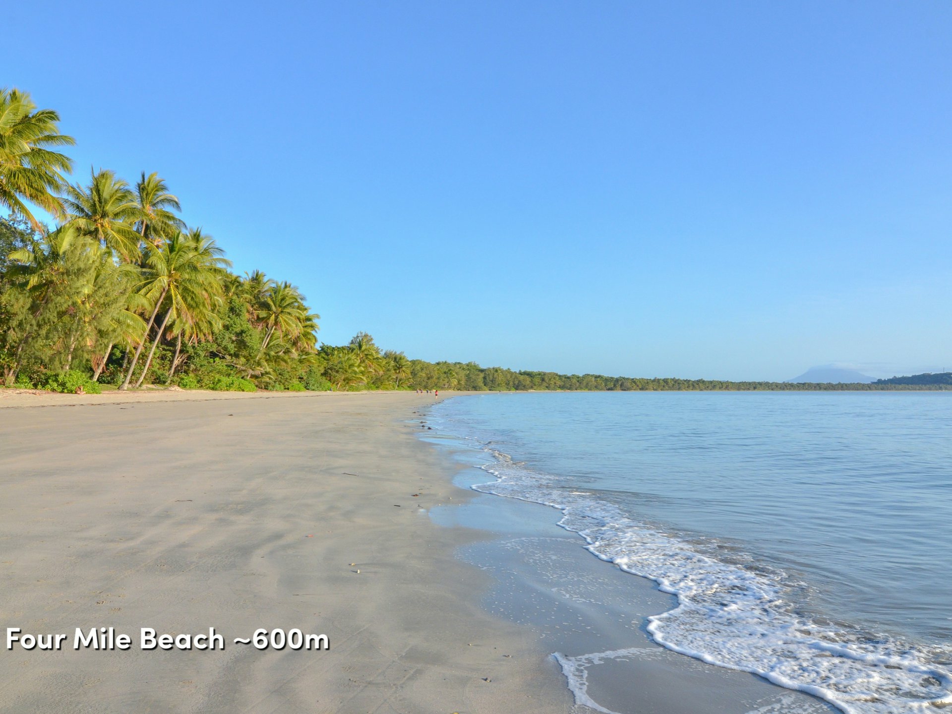 4 Fronds/33-39 Nautilus Street, PORT DOUGLAS