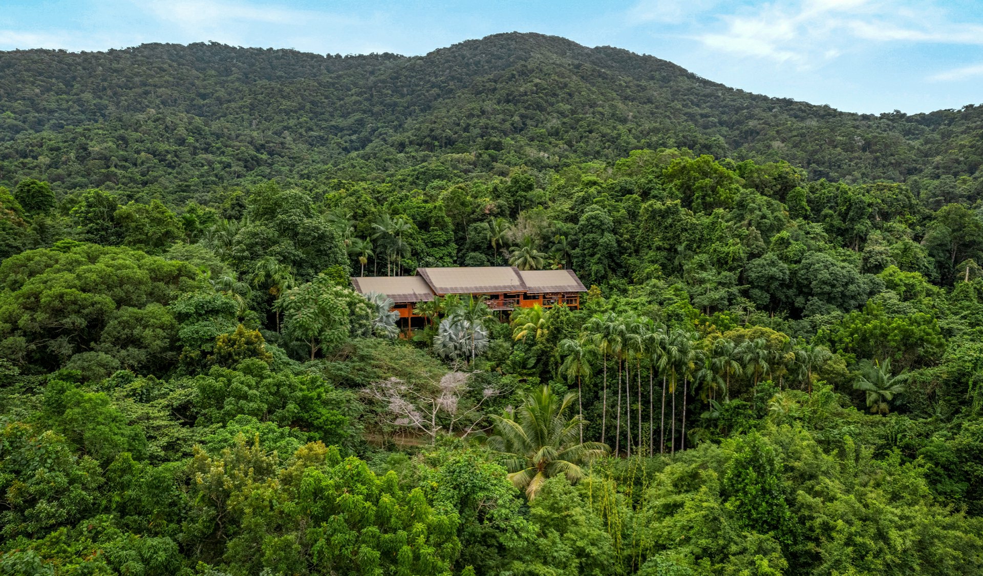 257 Cape Kimberley Road Daintree QLD House for Sale LJ Hooker