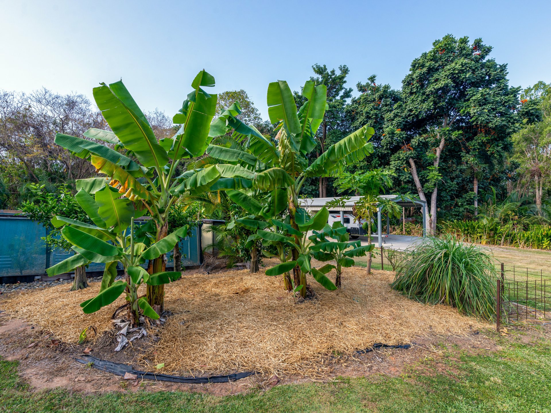 8 Finlay Crescent, OAK BEACH