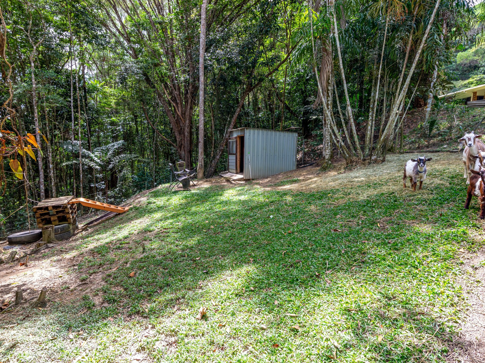 Lot 2/1651 Mossman Mt Molloy Road, JULATTEN