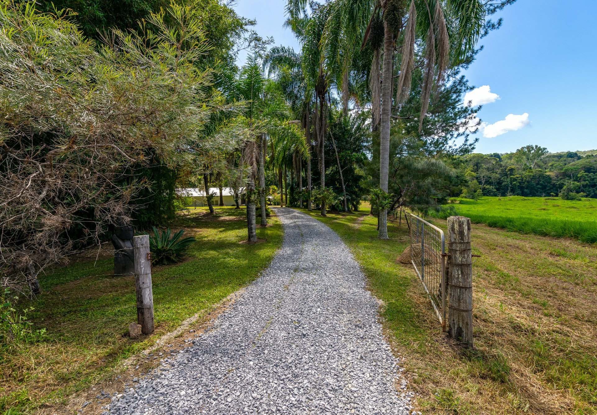 4414 Black Mountain Road, JULATTEN