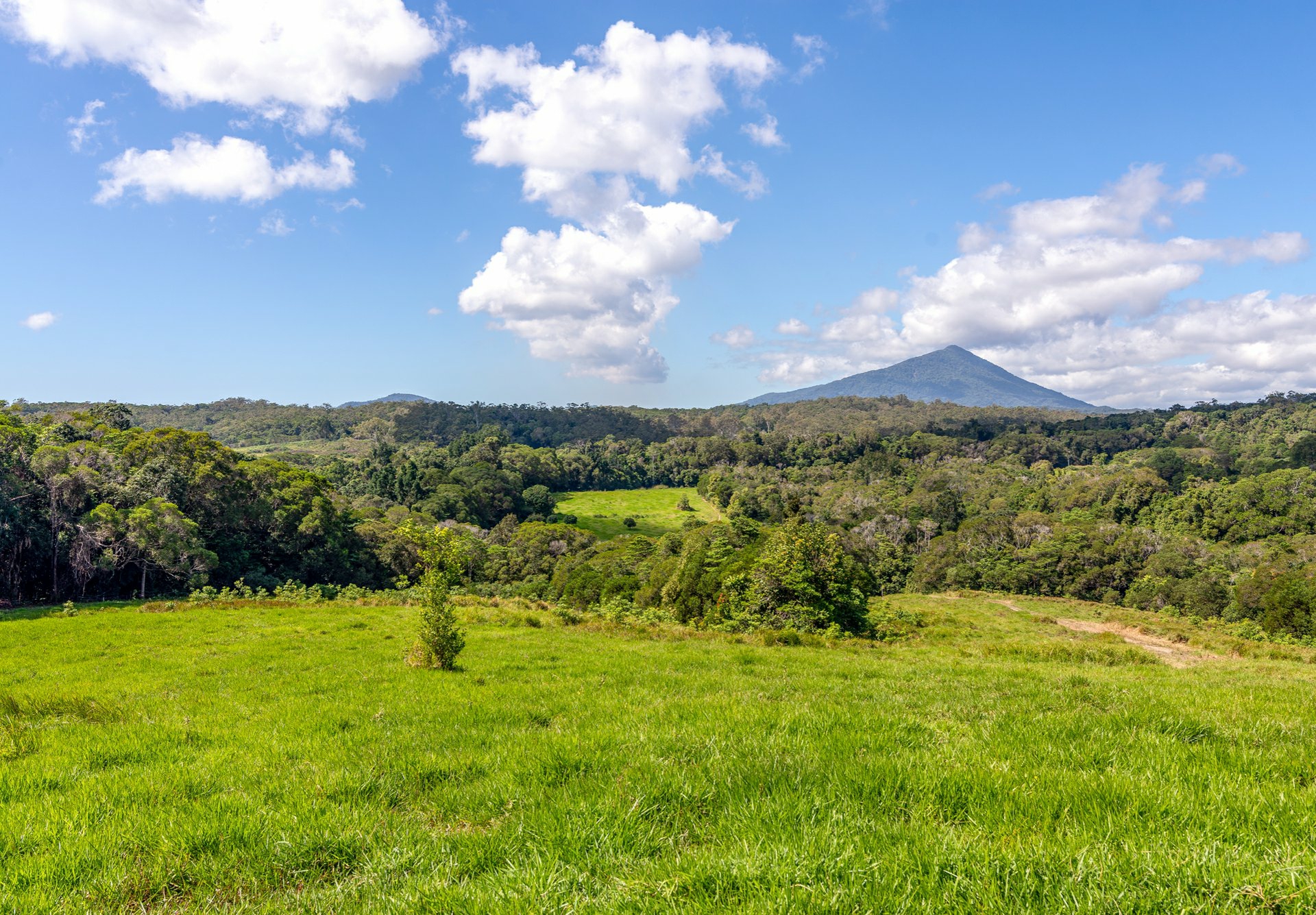 4414 Black Mountain Road, JULATTEN