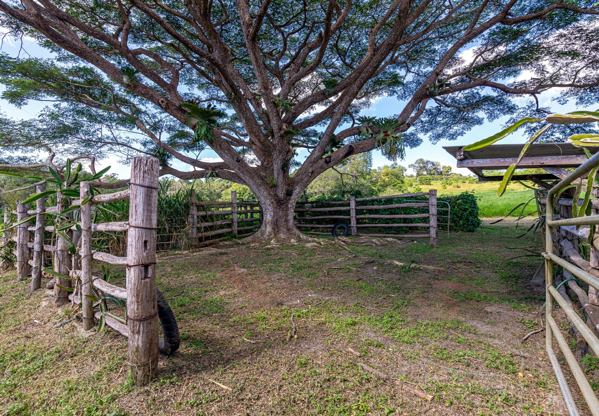 4414 Black Mountain Road, JULATTEN
