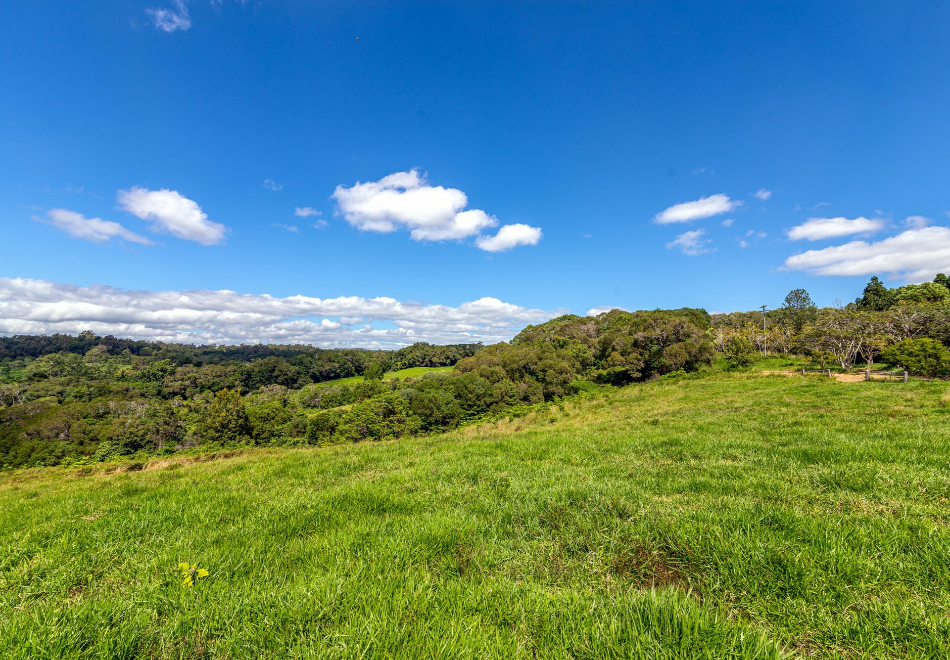4414 Black Mountain Road, JULATTEN