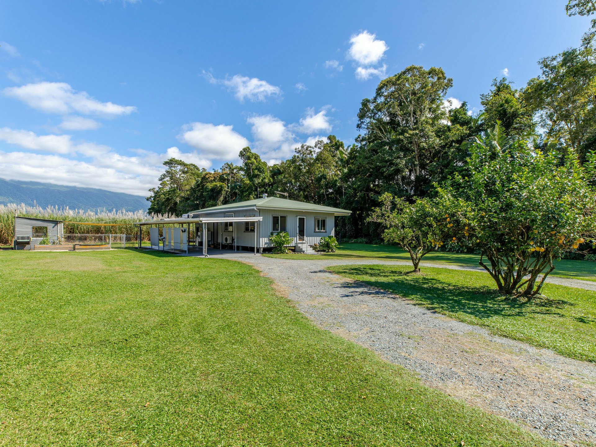 7 Miallo Bamboo Creek Road — photo 3 of 22