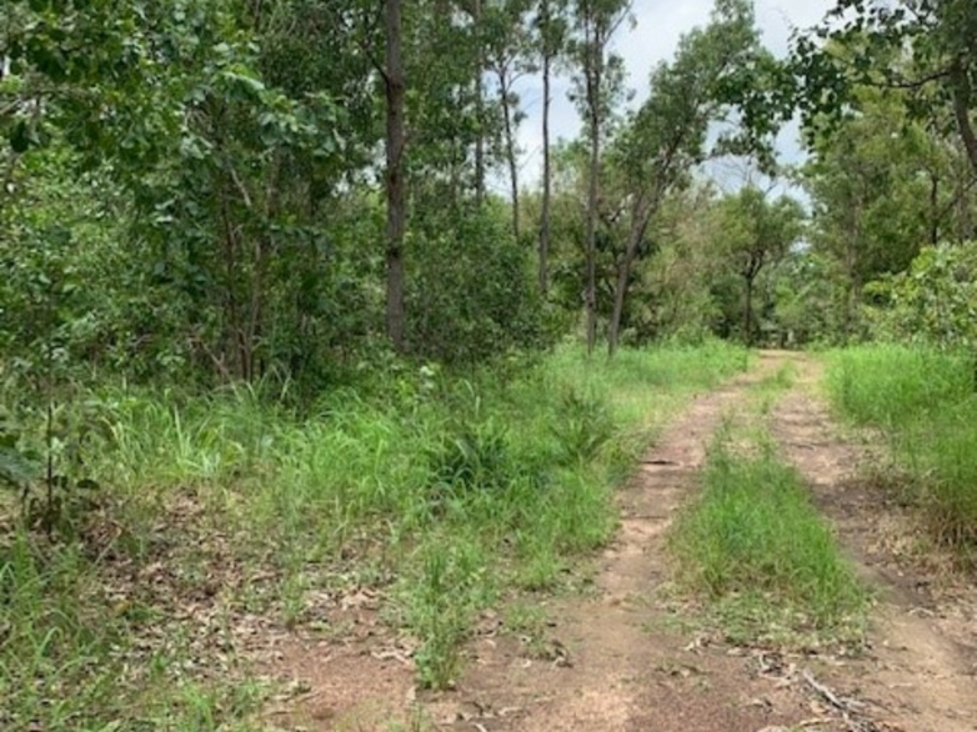 33 Sachse Street Wagait Beach NT Property Details LJ Hooker