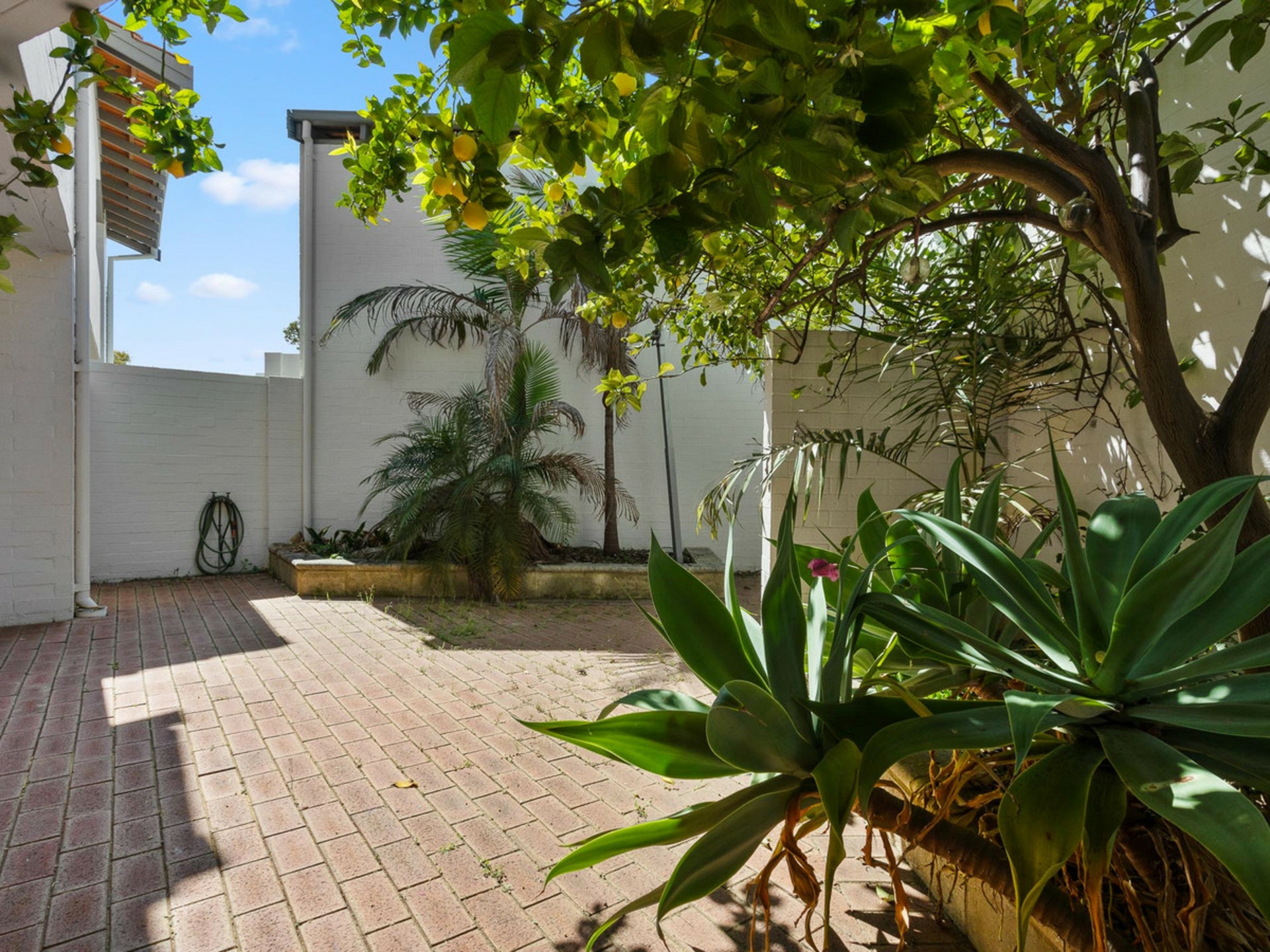 2/18 Fogerthorpe Crescent, MAYLANDS
