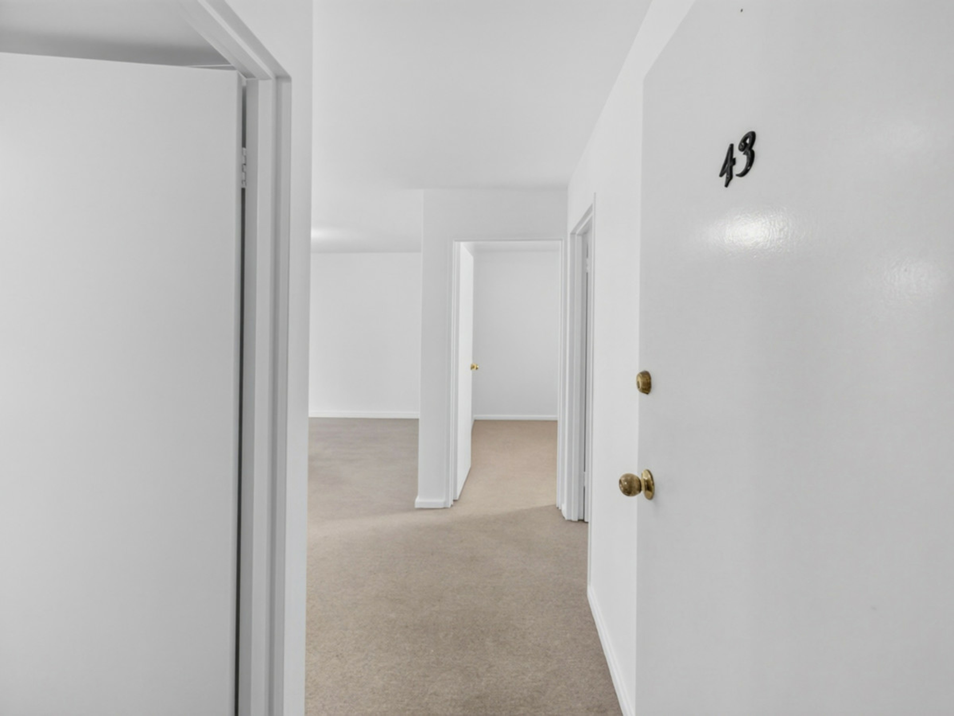 43/64-66 Riversdale Road — photo 3 of 26