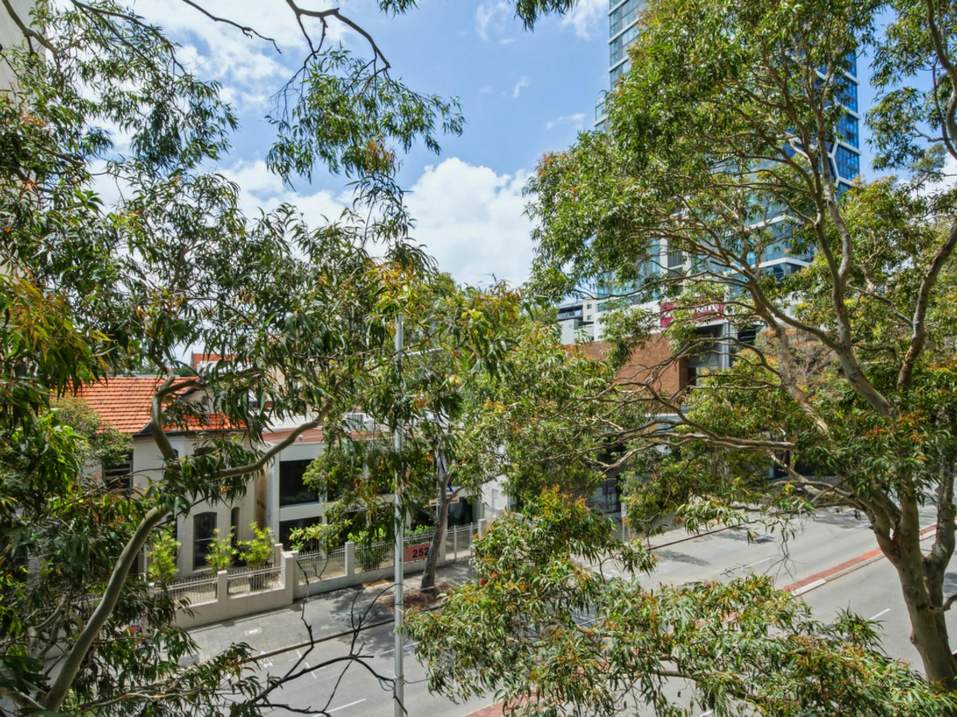 12/255 Adelaide Terrace — photo 24 of 25