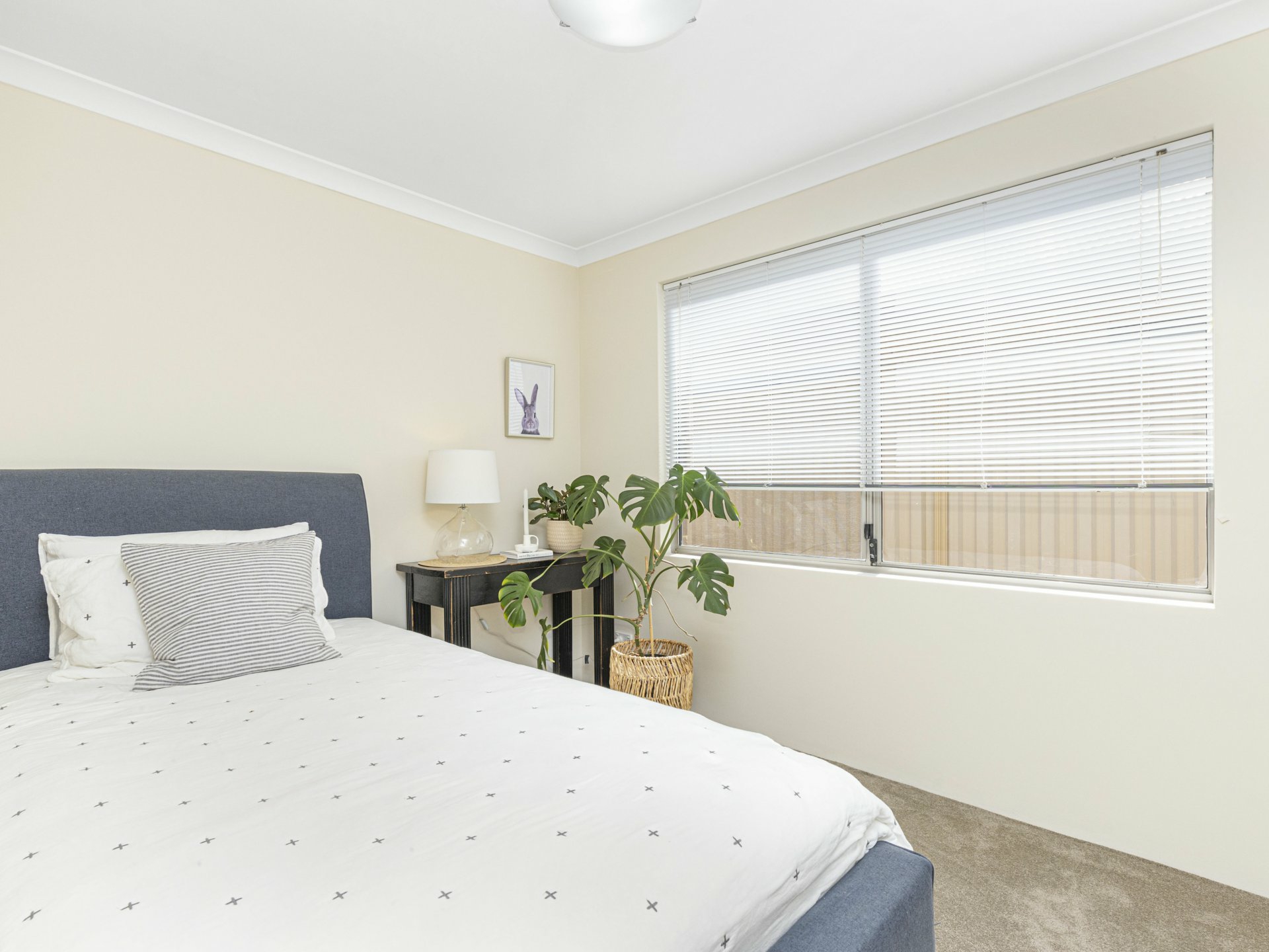 25 Carmathen Avenue, BUTLER